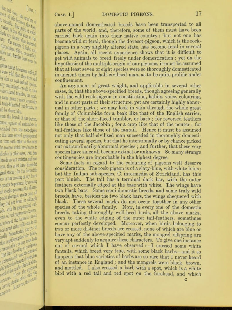 ' ^ as R-e^e - ^'Jrt-laced tumbler e ^me genus; more’ 1 u^.v-mnented si M be shown him. ran tie breeds of nnnon opinion of i tended from tie t tins term several er from eaci other he reasons which b fable in otier cast breeds are not varie pon, tie/ must k Chap. I.] DOMESTIC PIGEONS. 17 above-named domesticated breeds have been transported to ah parts of the world, and, therefore, some of them must have been carried back again into their native country; but not one has become wild or feral, though the dovecot-pigeon, which is the rock- pigeon in a very slightly altered state, has become feral in several places. Again, all recent experience shows that it is difficult to get wild animals to breed freely under domestication ; yet on the hypothesis of the multiple origin of our pigeons, it must be assumed that at least seven or eight species were so thoroughly domesticated in ancient times by half-civilised man, as to be quite prolific under confinement. An argument of great weight, and applicable in several other cases, is, that the above-specified breeds, though agreeing generally with the wild rock-pigeon in constitution, habits, voice, colouring, and in most parts of their structure, yet are certainly highly abnor- mal in other parts ; we may look in vain through the whole great family of Columbidse for a beak like that of the English carrier, or that of the short-faced tumbler, or barb ; for reversed feathers like those of the Jacobin ; for a crop like that of the pouter ; for tail-feathers like those of the fantail. Hence it must be assumed not only that half-civilised man succeeded in thoroughly domesti- cating several species, but that he intentionally or by chance picked out extraordinarily abnormal species ; and further, that these very species have since all become extinct or unknown. So many strange contingencies are improbable in the highest degree. Some facts in regard to the colouring of pigeons well deserve consideration. The rock-pigeon is of a slaty-blue, with white loins; but the Indian sub-species, C. intermedia of Strickland, has this part bluish. The tail has a terminal dark bar, with the outer feathers externally edged at the base with white. The wings have two black bars. Some semi-domestic breeds, and some truly wild breeds, have, besides the two black bars, the wings chequered with black. These several marks do not occur together in any other species of the whole family. Now, in every one of the domestic breeds, taking thoroughly well-bred birds, all the above marks, even to the white edging of the outer tail-feathers, sometimes concur perfectly developed. Moreover, when birds belonging to two or more distinct breeds are crossed, none of which are blue or have any of the above-specified marks, the mongrel offspring are very apt suddenly to acquire these characters. To give one instance out of several which I have observed :—I crossed some white fantails, which breed very true, with some black barbs—and it so happens that blue varieties of barbs are so rare that I never heard of an instance in England ; and the mongrels were black, brown, and mottled. I also crossed a barb with a spot, which is a white bird with a red tail and red spot on the forehead, and which c