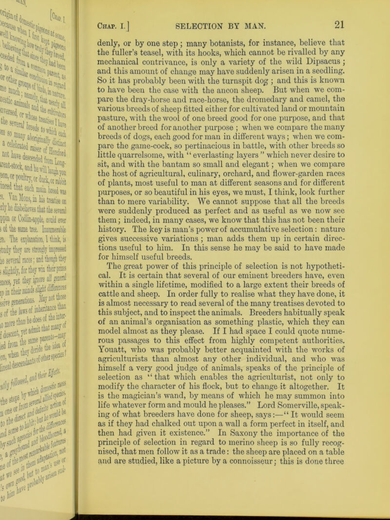 !S*«. ^ ! to i.vf‘^ 3 to jfeed, J Patent^ ^gard a1ebraw^fe ^nt-stock, and te will lau^you meed that each main breed was -• ' an Mods, in his treatise on srly lie disbelieves that the sereral PI® ot Codlin-apple, could ever s oi the same toe. innumerable % The explanation, 1 think, is tody they are st 1 J ie several races; _ i slightly, for they win jnces, yet thej ignore ip in their minds sligit sVe generation nla; i of*.”,,fil4«i.i« |U tne tjoiothersped on. ^en lineal^- , M md soi - ' I, t0$: i i^dln vtklk ne denly, or by one step ; many botanists, for instance, believe that the fuller’s teasel, with its hooks, which cannot be rivalled by any mechanical contrivance, is only a variety of the wild Dipsacus; and this amount of change may have suddenly arisen in a seedling. So it has probably been with the turnspit dog ; and this is known to have been the case with the ancon sheep. But when we com- pare the dray-horse and race-horse, the dromedary and camel, the various breeds of sheep fitted either for cultivated land or mountain pasture, with the wool of one breed good for one purpose, and that of another breed for another purpose ; when we compare the many breeds of dogs, each good for man in different ways; when we com- pare the game-cock, so pertinacious in battle, with other breeds so little quarrelsome, with “everlasting layers ” which never desire to sit, and with the bantam so small and elegant; when we compare the host of agricultural, culinary, orchard, and flower-garden races of plants, most useful to man at different seasons and for different purposes, or so beautiful in his eyes, we must, I think, look further than to mere variability. We cannot suppose that all the breeds were suddenly produced as perfect and as useful as we now see them; indeed, in many cases, we know that this has not been their history. The key is man’s power of accumulative selection: nature gives successive variations ; man adds them up in certain direc- tions useful to him. In this sense he may be said to have made for himself useful breeds. The great power of this principle of selection is not hypotheti- cal. It is certain that several of our eminent breeders have, even within a single lifetime, modified to a large extent their breeds of cattle and sheep. In order fully to realise what they have done, it is almost necessary to read several of the many treatises devoted to this subject, and to inspect the animals. Breeders habitually speak of an animal’s organisation as something plastic, which they can model almost as they please. If I had space I could quote nume- rous passages to this effect from highly competent authorities. Youatt, who was probably better acquainted with the works of agriculturists than almost any other individual, and who was himself a very good judge of animals, speaks of the principle of selection as “that which enables the agriculturist, not only to modify the character of his flock, but to change it altogether. It is the magician’s wand, by means of which he may summon into life whatever form and mould he pleases.” Lord Somerville, speak- ing of what breeders have done for sheep, says:—“It would seem as if they had chalked out upon a wall a form perfect in itself, and then had given it existence.” In Saxony the importance of the principle of selection in regard to merino sheep is so fully recog- nised, that men follow it as a trade: the sheep are placed on a table and are studied, like a picture by a connoisseur; this is done three