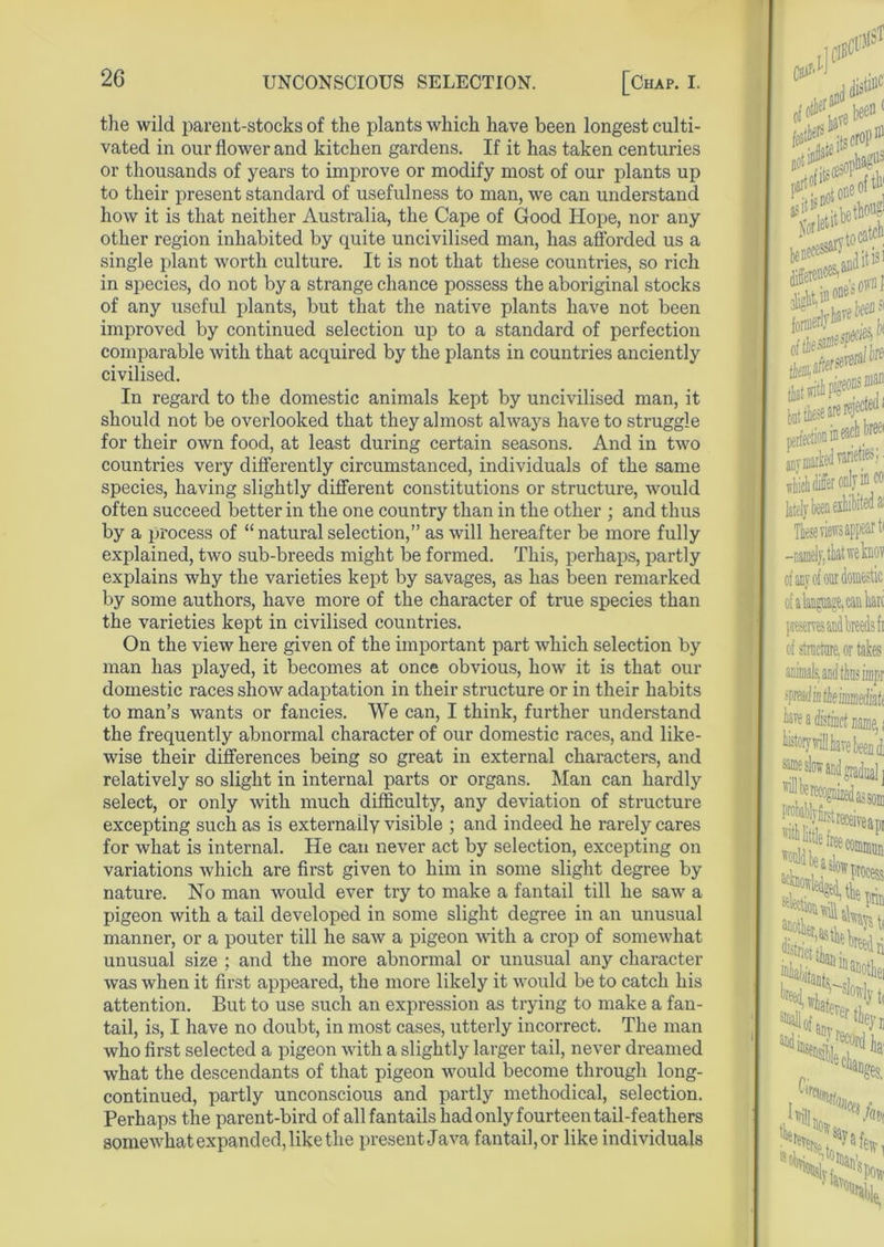 the wild parent-stocks of the plants which have been longest culti- vated in our llower and kitchen gardens. If it has taken centuries or thousands of years to improve or modify most of our plants up to their present standard of usefulness to man, we can understand how it is that neither Australia, the Cape of Good Hope, nor any other region inhabited by quite uncivilised man, has afforded us a single plant worth culture. It is not that these countries, so rich in species, do not by a strange chance possess the aboriginal stocks of any useful plants, but that the native plants have not been improved by continued selection up to a standard of perfection comparable with that acquired by the plants in countries anciently civilised. In regard to the domestic animals kept by uncivilised man, it should not be overlooked that they almost always have to struggle for their own food, at least during certain seasons. And in two countries very differently circumstanced, individuals of the same species, having slightly different constitutions or structure, would often succeed better in the one country than in the other ; and thus by a process of “naturalselection,” as will hereafter be more fully explained, two sub-breeds might be formed. This, perhaps, partly explains why the varieties kept by savages, as has been remarked by some authors, have more of the character of true species than the varieties kept in civilised countries. On the view here given of the important part which selection by man has played, it becomes at once obvious, how it is that our domestic races show adaptation in their structure or in their habits to man’s wants or fancies. We can, I think, further understand the frequently abnormal character of our domestic races, and like- wise their differences being so great in external characters, and relatively so slight in internal parts or organs. Man can hardly select, or only with much difficulty, any deviation of structure excepting such as is externally visible ; and indeed he rarely cares for what is internal. He can never act by selection, excepting on variations which are first given to him in some slight degree by nature. No man would ever try to make a fan tail till he saw a pigeon with a tail developed in some slight degree in an unusual manner, or a pouter till he saw a pigeon with a crop of somewhat unusual size ; and the more abnormal or unusual any character was when it first appeared, the more likely it would be to catch his attention. But to use such an expression as trying to make a fan- tail, is, I have no doubt, in most cases, utterly incorrect. The man who first selected a pigeon with a slightly larger tail, never dreamed what the descendants of that pigeon would become through long- continued, partly unconscious and partly methodical, selection. Perhaps the parent-bird of all fantails had only fourteen tail-feathers somewhat expanded, like the present Java fantail,or like individuals