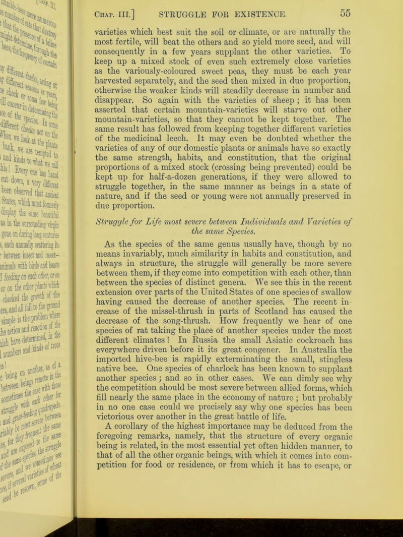 u%k '•Hi, LH!SS> **,.w** Vk>>* ^ concur iD ,i,f ^'King lce°f tie ^!in? tie ^rent cfi\In^ ?;***£?; '“■ Woflekbid f do? a very different J® obse!Te<l ^at ancient ‘.tates, wiici must formerly fcplay tie same beautiful aa in tk suTrounding virgin gone on during long centuries s, each annually scattering its • between insect and insect— wimals with birds and beasts i feeding on eaciotler, or on or on fie otier plants which checked tk growth of tie simple is the problem where Inch hare \ numbers of the in the trees varieties which best suit the soil or climate, or are naturally the most fertile, will beat the others and so yield more seed, and will consequently in a few years supplant the other varieties. To keep up a mixed stock of even such extremely close varieties as the variously-coloured sweet peas, they must be each year harvested separately, and the seed then mixed in due proportion, otherwise the weaker kinds will steadily decrease in number and disappear. So again with the varieties of sheep ; it has been asserted that certain mountain-varieties will starve out other mountain-varieties, so that they cannot be kept together. The same result has followed from keeping together different varieties of the medicinal leech. It may even be doubted whether the varieties of any of our domestic plants or animals have so exactly the same strength, habits, and constitution, that the original proportions of a mixed stock (crossing being prevented) could be kept up for half-a-dozen generations, if they were allowed to struggle together, in the same manner as beings in a state of nature, and if the seed or young were not annually preserved in due proportion. Struggle for Life most severe between Individuals and Varieties of the same Species. As the species of the same genus usually have, though by no means invariably, much similarity in habits and constitution, and always in structure, the struggle will generally be more severe between them, if they come into competition with each other, than between the species of distinct genera. We see this in the recent extension over parts of the United States of one species of swallow having caused the decrease of another species. The recent in- crease of the missel-thrush in parts of Scotland has caused the decrease of the song-thrush. How frequently we hear of one species of rat taking the place of another species under the most different climates! In Russia the small Asiatic cockroach has everywhere driven before it its great congener. In Australia the imported hive-bee is rapidly exterminating the small, stingless native bee. One species of charlock has been known to supplant another species ; and so in other cases. We can dimly see why the competition should be most severe between allied forms, which fill nearly the same place in the economy of nature ; but probably in no one case could we precisely say why one species has been victorious over another in the great battle of life. A corollary of the highest importance may be deduced from the foregoing remarks, namely, that the structure of every organic being is related, in the most essential yet often hidden manner, to that of all the other organic beings, with which it comes into com- petition for food or residence, or from which it has to escape, or