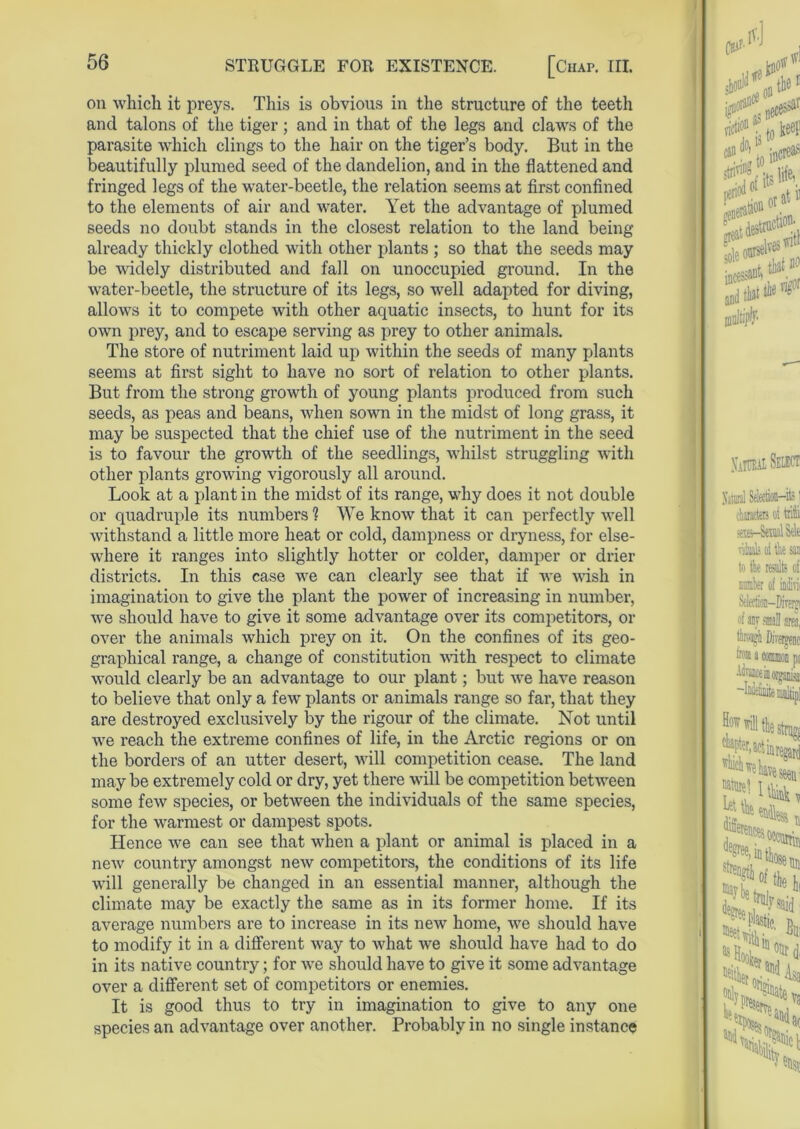 on which it preys. This is obvious in the structure of the teeth and talons of the tiger; and in that of the legs and claws of the parasite which clings to the hair on the tiger’s body. But in the beautifully plumed seed of the dandelion, and in the flattened and fringed legs of the water-beetle, the relation seems at first confined to the elements of air and water. Yet the advantage of plumed seeds no doubt stands in the closest relation to the land being already thickly clothed with other plants ; so that the seeds may be widely distributed and fall on unoccupied ground. In the water-beetle, the structure of its legs, so well adapted for diving, allows it to compete with other aquatic insects, to hunt for its own prey, and to escape serving as prey to other animals. The store of nutriment laid up within the seeds of many plants seems at first sight to have no sort of relation to other plants. But from the strong growth of young plants produced from such seeds, as peas and beans, when sown in the midst of long grass, it may be suspected that the chief use of the nutriment in the seed is to favour the growth of the seedlings, whilst struggling with other plants growing vigorously all around. Look at a plant in the midst of its range, why does it not double or quadruple its numbers ? We know that it can perfectly well withstand a little more heat or cold, dampness or dryness, for else- where it ranges into slightly hotter or colder, damper or drier districts. In this case we can clearly see that if we wish in imagination to give the plant the power of increasing in number, we should have to give it some advantage over its competitors, or over the animals which prey on it. On the confines of its geo- graphical range, a change of constitution with respect to climate would clearly be an advantage to our plant; but we have reason to believe that only a few plants or animals range so far, that they are destroyed exclusively by the rigour of the climate. Not until we reach the extreme confines of life, in the Arctic regions or on the borders of an utter desert, will competition cease. The land may be extremely cold or dry, yet there will be competition between some few species, or between the individuals of the same species, for the warmest or dampest spots. Hence we can see that when a plant or animal is placed in a new country amongst new competitors, the conditions of its life will generally be changed in an essential manner, although the climate may be exactly the same as in its former home. If its average numbers are to increase in its new home, we should have to modify it in a different way to what we should have had to do in its native country; for we should have to give it some advantage over a different set of competitors or enemies. It is good thus to try in imagination to give to any one species an advantage over another. Probably in no single instance