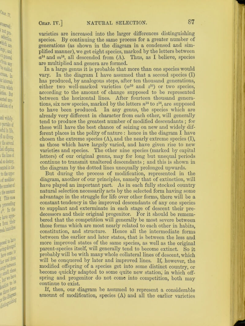 varieties are increased into the larger differences distinguishing species. By continuing the same process for a greater number of generations (as shown in the diagram in a condensed and sim- plified manner), we get eight species, marked by the letters between au and mu, all descended from (A). Thus, as I believe, species are multiplied and genera are formed. In a large genus it is probable that more than one species would vary. In the diagram I have assumed that a second species (I) has produced, by analogous steps, after ten thousand generations, either two well-marked varieties (w10 and z10) or two species, according to the amount of change supposed to be represented between the horizontal lines. After fourteen thousand genera- tions, six new species, marked by the letters nu to zu, are supposed to have been produced. In any genus, the species which are already very different in character from each other, will generally tend to produce the greatest number of modified descendants ; for these will have the best chance of seizing on new and widely dif- ferent places in the polity of nature : hence in the diagram I have chosen the extreme species (A), and the nearly extreme species (I), as those which have largely varied, and have given rise to new varieties and species. The other nine species (marked by capital letters) of our original genus, may for long but unequal periods continue to transmit unaltered descendants ; and this is shown in the diagram by the dotted lines unequally prolonged upwards. But during the process of modification, represented in the diagram, another of our principles, namely that of extinction, will have played an important part. As in each fully stocked country natural selection necessarily acts by the selected form having some advantage in the struggle for life over other forms, there will be a constant tendency in the improved descendants of any one species to supplant and exterminate in each stage of descent their pre- decessors and their original progenitor. For it should be remem- bered that the competition will generally be most severe between those forms which are most nearly related to each other in habits, constitution, and structure. Hence all the intermediate forms between the earlier and later states, that is between the less and more improved states of the same species, as well as the original parent-species itself, will generally tend to become extinct. So it probably will be with many whole collateral lines of descent, which will be conquered by later and improved lines. If, however, the modified offspring of a species get into some distinct country, or become quickly adapted to some quite new station, in which off- spring and progenitor do not come into competition, both may continue to exist. If, then, our diagram be assumed to represent a considerable amount of modification, species (A) and all the earlier varieties