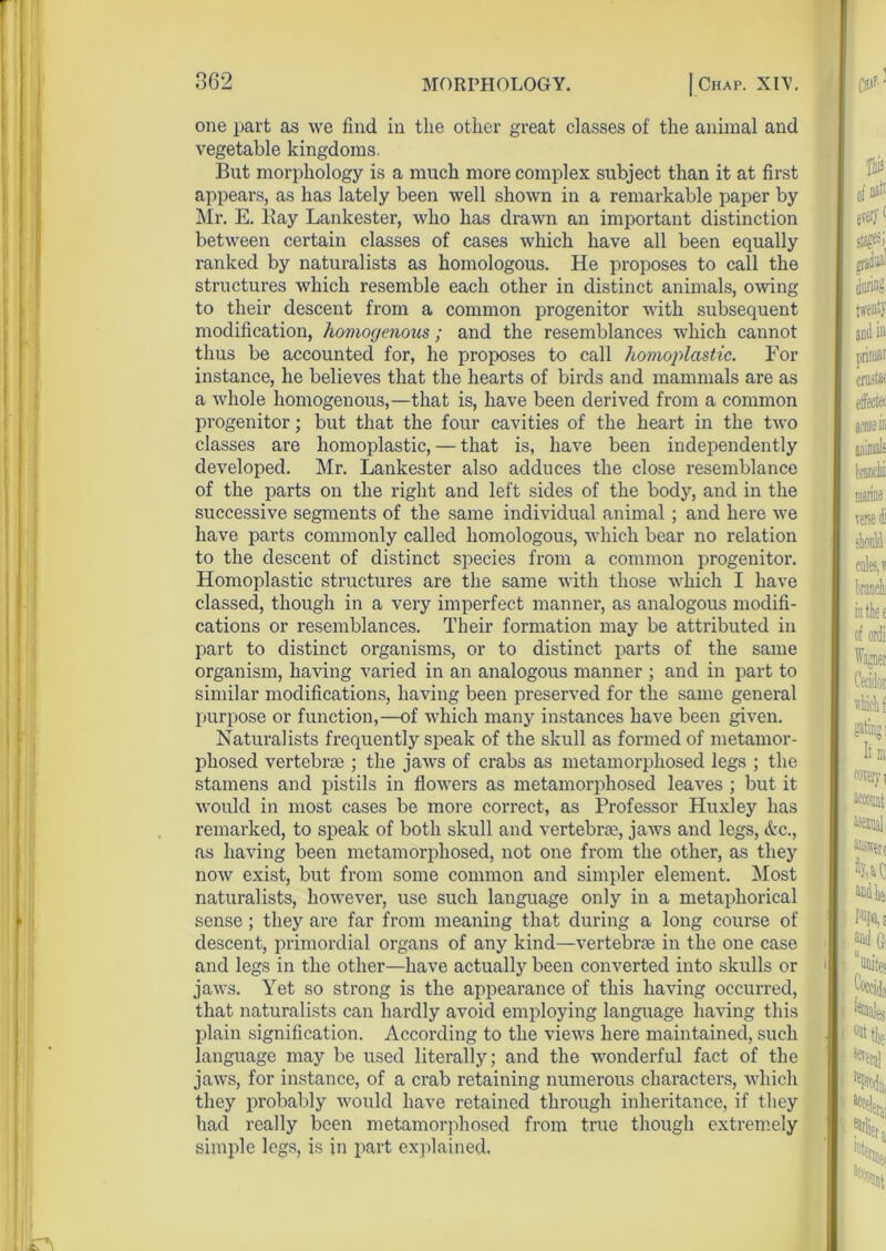 one part as we find in the other great classes of the animal and vegetable kingdoms. But morphology is a much more complex subject than it at first appears, as has lately been well shown in a remarkable paper by Mr. E. Bay Lankester, who has drawn an important distinction between certain classes of cases which have all been equally ranked by naturalists as homologous. He proposes to call the structures which resemble each other in distinct animals, owing to their descent from a common progenitor with subsequent modification, homogenous; and the resemblances which cannot thus be accounted for, he proposes to call homoplastic. For instance, he believes that the hearts of birds and mammals are as a whole homogenous,—that is, have been derived from a common progenitor; but that the four cavities of the heart in the two classes are homoplastic, — that is, have been independently developed. Mr. Lankester also adduces the close resemblance of the parts on the right and left sides of the body, and in the successive segments of the same individual animal; and here we have parts commonly called homologous, which bear no relation to the descent of distinct species from a common progenitor. Homoplastic structures are the same with those which I have classed, though in a very imperfect manner, as analogous modifi- cations or resemblances. Their formation may be attributed in part to distinct organisms, or to distinct parts of the same organism, having varied in an analogous manner ; and in part to similar modifications, having been preserved for the same general purpose or function,—of which many instances have been given. Naturalists frequently speak of the skull as formed of metamor- phosed vertebrae ; the jaws of crabs as metamorphosed legs ; the stamens and pistils in flowers as metamorphosed leaves ; but it would in most cases be more correct, as Professor Huxley has remarked, to speak of both skull and vertebrae, jaws and legs, etc., as having been metamorphosed, not one from the other, as they now exist, but from some common and simpler element. Most naturalists, however, use such language only in a metaphorical sense ; they are far from meaning that during a long course of descent, primordial organs of any kind—vertebrae in the one case and legs in the other—have actually been converted into skulls or jaws. Yet so strong is the appearance of this having occurred, that naturalists can hardly avoid employing language having this plain signification. According to the views here maintained, such language may be used literally; and the wonderful fact of the jaws, for instance, of a crab retaining numerous characters, which they probably would have retained through inheritance, if they had really been metamorphosed from true though extremely simple legs, is in part explained.