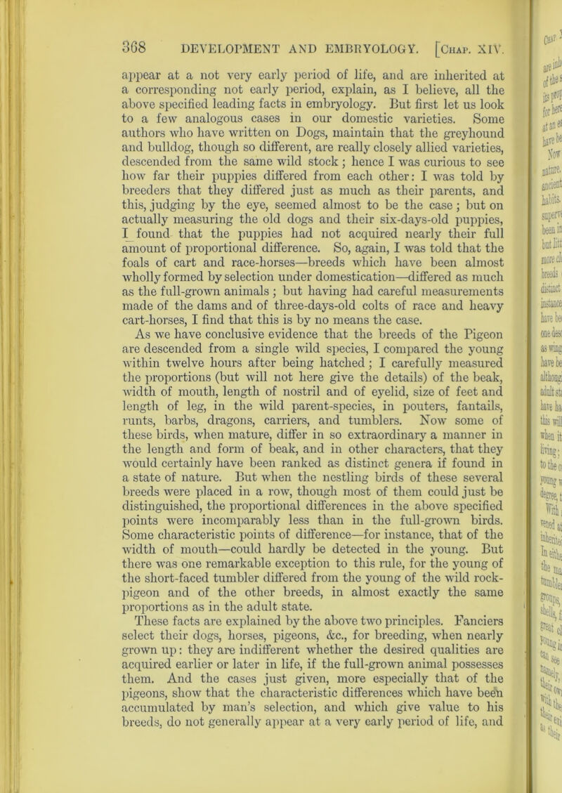 appear at a not very early period of life, and are inherited at a corresponding not early period, explain, as I believe, all the above specified leading facts in embryology. But first let us look to a few analogous cases in our domestic varieties. Some authors who have written on Dogs, maintain that the greyhound and bulldog, though so different, are really closely allied varieties, descended from the same wild stock ; hence I was curious to see how far their puppies differed from each other: I was told by breeders that they differed just as much as their parents, and this, judging by the eye, seemed almost to be the case; but on actually measuring the old dogs and their six-days-old puppies, I found that the puppies had not acquired nearly their full amount of proportional difference. So, again, I was told that the foals of cart and race-horses—breeds which have been almost wholly formed by selection under domestication—differed as much as the full-grown animals ; but having had careful measurements made of the dams and of tliree-days-old colts of race and heavy cart-horses, I find that this is by no means the case. As we have conclusive evidence that the breeds of the Pigeon are descended from a single wild species, I compared the young within twelve hours after being hatched; I carefully measured the proportions (but will not here give the details) of the beak, width of mouth, length of nostril and of eyelid, size of feet and length of leg, in the wild parent-species, in pouters, fantails, runts, barbs, dragons, carriers, and tumblers. Now some of these birds, when mature, differ in so extraordinary a manner in the length and form of beak, and in other characters, that they would certainly have been ranked as distinct genera if found in a state of nature. But when the nestling birds of these several breeds were placed in a row, though most of them could just be distinguished, the proportional differences in the above specified points were incomparably less than in the full-grown birds. Some characteristic points of difference—for instance, that of the width of mouth—could hardly be detected in the young. But there was one remarkable exception to this rule, for the young of the short-faced tumbler differed from the young of the wild rock- pigeon and of the other breeds, in almost exactly the same proportions as in the adult state. These facts are explained by the above two principles. Fanciers select their dogs, horses, pigeons, &c., for breeding, when nearly grown up: they are indifferent whether the desired qualities are acquired earlier or later in life, if the full-grown animal possesses them. And the cases just given, more especially that of the pigeons, show that the characteristic differences which have been accumulated by man’s selection, and which give value to his breeds, do not generally appear at a very early period of life, and