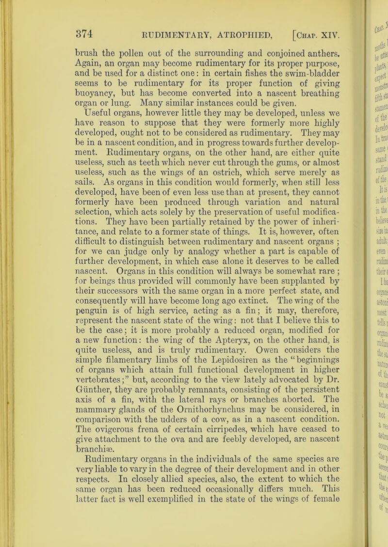 brush the pollen out of the surrounding and conjoined anthers. Again, an organ may become rudimentary for its proper purpose, and be used for a distinct one: in certain fishes the swim-bladder seems to be rudimentary for its proper function of giving buoyancy, but has become converted into a nascent breathing organ or lung. Many similar instances could be given. Useful organs, however little they may be developed, unless we have reason to suppose that they were formerly more highly developed, ought not to be considered as rudimentary. They may be in a nascent condition, and in progress towards further develop- ment. Rudimentary organs, on the other hand, are either quite useless, such as teeth which never cut through the gums, or almost useless, such as the wings of an ostrich, which serve merely as sails. As organs in this condition would formerly, when still less developed, have been of even less use than at present, they cannot formerly have been produced through variation and natural selection, which acts solely by the preservation of useful modifica- tions. They have been partially retained by the power of inheri- tance, and relate to a former state of things. It is, however, often difficult to distinguish between rudimentary and nascent organs ; for we can judge only by analogy whether a part is capable of further development, in which case alone it deserves to be called nascent. Organs in this condition will always be somewhat rare ; for beings thus provided will commonly have been supplanted by their successors with the same organ in a more perfect state, and consequently will have become long ago extinct. The wing of the penguin is of high service, acting as a fin; it may, therefore, represent the nascent state of the wing: not that I believe this to be the case; it is more probably a reduced organ, modified for a new function: the wing of the Apteryx, on the other hand, is quite useless, and is truly rudimentary. Owen considers the simple filamentary limbs of the Lepidosiren as the “ beginnings of organs which attain full functional development in higher vertebrates;” but, according to the view lately advocated by Dr. Gunther, they are probably remnants, consisting of the persistent axis of a fin, with the lateral rays or branches aborted. The mammary glands of the Ornithorhynchus may be considered, in comparison with the udders of a cow, as in a nascent condition. The ovigerous frena of certain cirripedes, which have ceased to give attachment to the ova and are feebly developed, are nascent branchiae. Rudimentary organs in the individuals of the same species are very liable to vary in the degree of their development and in other respects. In closely allied species, also, the extent to which the same organ has been reduced occasionally differs much. This latter fact is well exemplified in the state of the wings of female