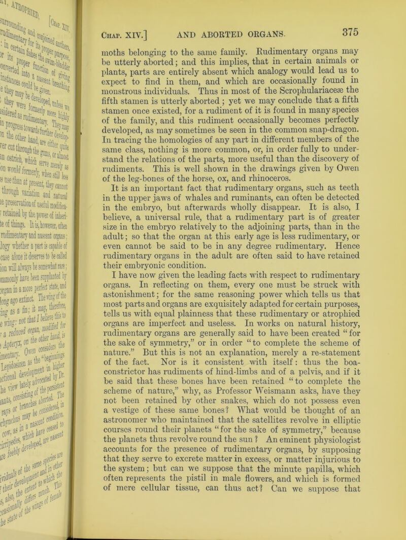 '\-S& 'SKf* | former] ^’Iln^1re &£&!* ;% % •rarfterdeve. rer®tbDZ:aJeitifrqi '^tairtS. 'm “™HSrt;25fe ‘W van*, ad iatllIa| o retained by tk power of inheri- te of tMngs. It is, however, often rudimentary and nascent organs; Jogy whether a part i? capable of (liViiV 4* VfcWVA • w »v V* ■■■■■ ion will always be somewhat rare; 11 1 ^H_^lAw4A/f kn or^an in a more long ago extinct. Tliewingoftlie IUfl° 0 • - — therefore, iog os i fin; it may 53 a ra »Apteiyi,® Owen Lepidosiren as the Ar i* ‘ **£**#?. »** *#«* i the ^ A in oti^ lon^fhe^ Chap. XIV.] AND ABORTED ORGANS. moths belonging to the same family. Rudimentary organs may be utterly aborted; and this implies, that in certain animals or plants, parts are entirely absent which analogy would lead us to expect to find in them, and which are occasionally found in monstrous individuals. Thus in most of the Scrophulariaceae the fifth stamen is utterly aborted ; yet we may conclude that a fifth stamen once existed, for a rudiment of it is found in many species of the family, and this rudiment occasionally becomes perfectly developed, as may sometimes be seen in the common snap-dragon. In tracing the homologies of any part in different members of the same class, nothing is more common, or, in order fully to under- stand the relations of the parts, more useful than the discovery of rudiments. This is well shown in the drawings given by Owen of the leg-bones of the horse, ox, and rhinoceros. It is an important fact that rudimentary organs, such as teeth in the upper jaws of whales and ruminants, can often be detected in the embryo, but afterwards wholly disappear. It is also, I believe, a universal rule, that a rudimentary part is of greater size in the embryo relatively to the adjoining parts, than in the adult; so that the organ at this early age is less rudimentary, or even cannot be said to be in any degree rudimentary. Hence rudimentary organs in the adult are often said to have retained their embryonic condition. I have now given the leading facts with respect to rudimentary organs. In reflecting on them, every one must be struck with astonishment; for the same reasoning power which tells us that most parts and organs are exquisitely adapted for certain purposes, tells us with equal plainness that these rudimentary or atrophied organs are imperfect and useless. In works on natural history, rudimentary organs are generally said to have been created “ for the sake of symmetry,” or in order “ to complete the scheme of nature.” But this is not an explanation, merely a re-statement of the fact. Nor is it consistent with itself: thus the boa- constrictor has rudiments of hind-limbs and of a pelvis, and if it be said that these bones have been retained “ to complete the scheme of nature,” why, as Professor Weismann asks, have they not been retained by other snakes, which do not possess even a vestige of these same bones? What would be thought of an astronomer who maintained that the satellites revolve in elliptic courses round their planets “ for the sake of symmetry,” because the planets thus revolve round the sun ? An eminent physiologist accounts for the presence of rudimentary organs, by supposing that they serve to excrete matter in excess, or matter injurious to the system; but can we suppose that the minute papilla, which often represents the pistil in male flowers, and which is formed of mere cellular tissue, can thus act? Can we suppose that