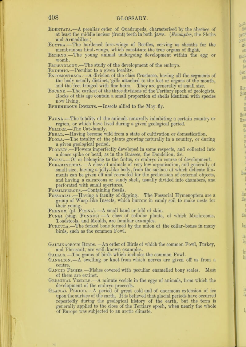 Edentata.—A peculiar order of Quadrupeds, characterised by the absence of at least the middle incisor (front) teeth in both jaws. (Examples, the Sloths aud Armadillos.) Elytra.—The hardened fore-wings of Beetles, serving as sheaths for the membranous hind-wings, which constitute the true organs of flight. Embryo.—The young animal undergoing development within tne egg or womb. Embryology.—The study of the development of the embryo. Endemic.—Peculiar to a given locality. Entomostraca.—A division of the class Crustacea, having all the segments of the body usually distinct,'gills attached to the feet or organs of the mouth, and the feet fringed with fine hairs. They are generally of small size. Eocene.—The earliest of the three divisions of the Tertiary epoch of geologists. Rocks of this age contain a small proportion of shells identical with species now living. Ephemerous Insects.—Insects allied to the May-fly. Fauna.—The totality of the animals naturally inhabiting a certain country or region, or which have lived during a given geological period. Felidje.—The Cat-family. Feral. —Having become wild from a state of cultivation or domestication. Flora.—The totality of the plants growing naturally in a country, or during a given geological period. Florets.—Flowers imperfectly developed in some respects, and collected into a dense spike or head, as in the Grasses, the Dandelion, &c. Fcetal.—Of or belonging to the foetus, or embryo in course of development. Foraminifera.—A class of animals of very low organisation, and generally of small size, having a jelly-like body, from the surface of which delicate fila- ments can be given off and retracted for the prehension of external objects, and having a calcareous or sandy shell, usually divided into chambers, ana perforated with small apertures. Fossiliferous.—Containing fossils. Fossorial.—Having a faculty of digging. The Fossorial Hymenoptera are a group of Wasp-like Insects, which burrow in sandy soil to make nests for their young. Frenum (pi. Frena).—A small band or fold of skin. Fungi (sing. Fungus).—A class of cellular plants, of which Mushrooms, Toadstools, and Moulds, are familiar examples. Furcula.—The forked hone formed by the union of the collar-bones in many birds, such as the common Fowl. Gallinaceous Birds.—An order of Birds of which the common Fowl, Turkey, and Pheasant, are well-known examples. Gallus.—The genus of birds which includes the common Fowl. Ganglion.—A swelling or knot from which nerves are given off as from a centre. Ganoid Fishes.—Fishes covered with peculiar enamelled bony scales. Most of them are extinct. Germinal Vesicle.—A minute vesicle in the eggs of animals, from which the development of the embryo proceeds. Glacial Period.—A period of great cold and of enormous extension of ice upon the surface of the earth. It is believed that glacial periods have occurred repeatedly during the geological history of the earth, but the term is generally applied to the close of the Tertiary epoch, when nearly the whole of Europe was subjected to an arctic climate.