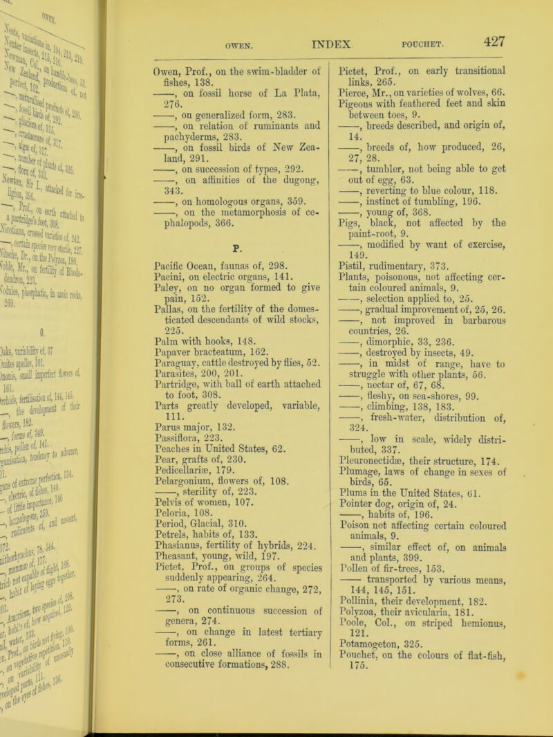 Owen, Prof., on the swim-bladder of fishes, 138. , on fossil horse of La Plata, 276. •, on generalized form, 283. , on relation of ruminants and pachyderms, 283. , on fossil birds of New Zea- land, 291. , on succession of types, 292. , on affinities of the dugong, 343. , on homologous organs, 359. , on the metamorphosis of ce- phalopods, 366. P. Pacific Ocean, faunas of, 298. Pacini, on electric organs, 141. Paley, on no organ formed to give pain, 152. Pallas, on the fertility of the domes- ticated descendants of wild stocks, 225. Palm with hooks, 148. Papaver bracteatum, 162. Paraguay, cattle destroyed by flies, 52. Parasites, 200, 201. Partridge, with ball of earth attached to foot, 308. Parts greatly developed, variable, 111. Parus major, 132. Passiflora, 223. Peaches in United States, 62. Pear, grafts of, 230. Pedicellari®, 179. Pelargonium, flowers of, 108. , sterility of, 223. Pelvis of women, 107. Peloria, 108. Period, Glacial, 310. Petrels, habits of, 133. Phasianus, fertility of hybrids, 224. Pheasant, young, wild, 197. Pictet, Prof., on groups of species suddenly appearing, 264. , on rate of organic change, 272, 273. , on continuous succession of genera, 274. , on change in latest tertiary forms, 261. , on close alliance of fossils in consecutive formations, 288. Pictet, Prof., on early transitional links, 265. Pierce, Mr., on varieties of wolves, 66. Pigeons with feathered feet and skin between toes, 9. , breeds described, and origin of, 14. , breeds of, how produced, 26, 27, 28. , tumbler, not being able to get out of egg, 63. , reverting to blue colour, 118. ——, instinct of tumbling, 196. , young of, 368. Pigs, black, not affected by the paint-root, 9. , modified by want of exercise, 149. Pistil, rudimentary, 373. Plants, poisonous, not affecting cer- tain coloured animals, 9. , selection applied to, 25. , gradual improvement of, 25, 26. , not improved in barbarous countries, 26. , dimorphic, 33, 236. ——, destroyed by insects, 49. , in midst of range, have to struggle with other plants, 56. , nectar of, 67, 68. , fleshy, on sea-shores, 99. , climbing, 138, 183. , fresh-water, distribution of, 324. , low in scale, widely distri- buted, 337. l’leuronectidse, their structure, 174. Plumage, laws of change in sexes of birds, 65. Plums in the United States, til. Pointer dog, origin of, 24. , habits of, 196. Poison not affecting certain coloured animals, 9. , similar effect of, on animals and plants, 399. Pollen of fir-trees, 153. transported by various means, 144, 145, 151. Pollinia, their development, 182. Polyzoa, their avicularia, 181. Poole, Col., on striped hemionus, 121. Potamogeton, 325. Pouchet, on the colours of flat-fish, 175.