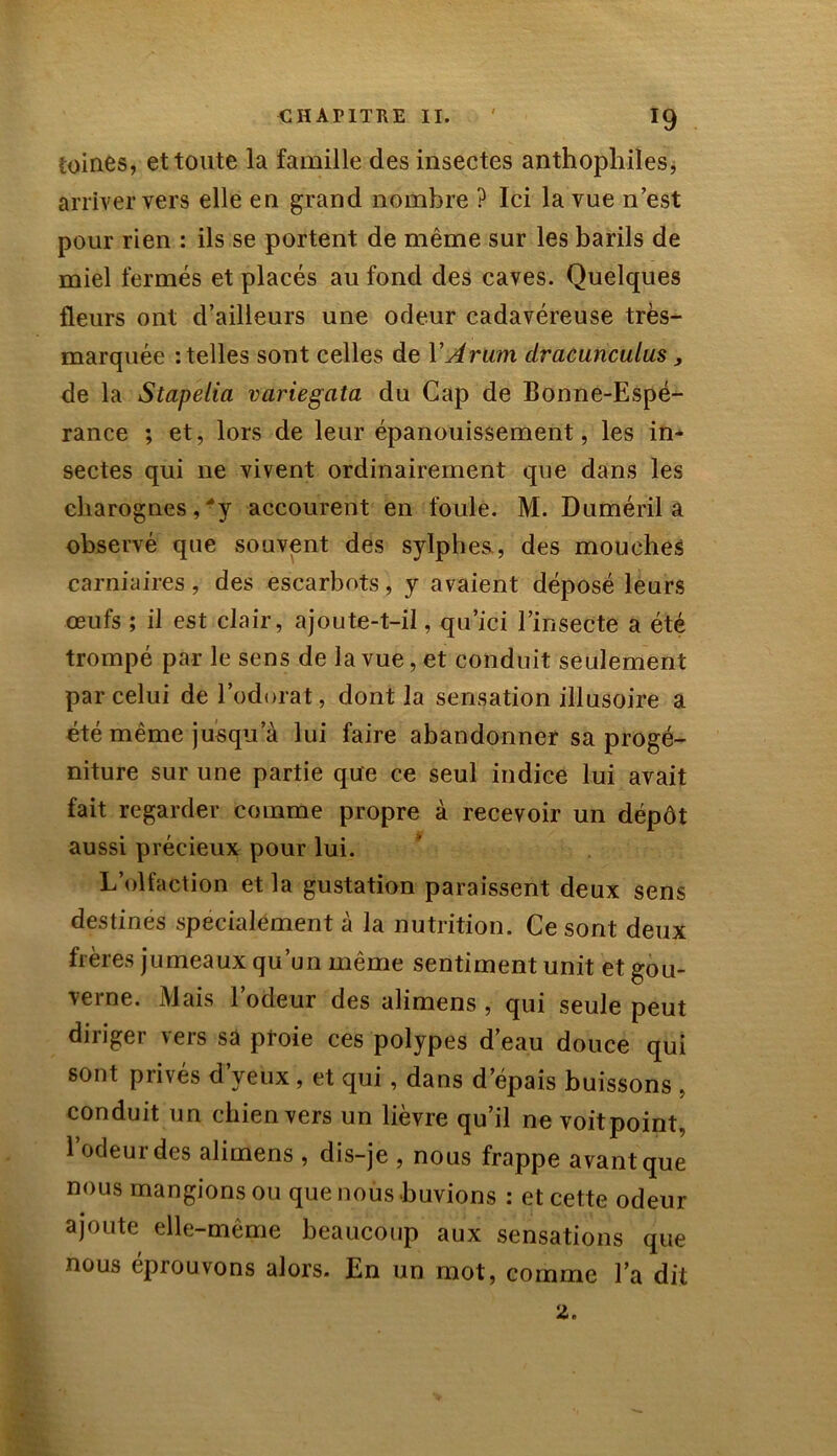 ioines, et toute la famille des insectes anthophiles, arriver vers elle en grand nombre ? Ici la vue n est pour rien : ils se portent de même sur les barils de miel fermés et placés au fond des caves. Quelques fleurs ont d’ailleurs une odeur cadavéreuse très- marquée -.telles sont celles de Y Arum dracunculus, de la Stapelia variegata du Cap de Bonne-Espé- rance ; et, lors de leur épanouissement, les in- sectes qui ne vivent ordinairement que dans les charognes,'‘y accourent en foule. M. Duméril a observé que souvent des sylphes, des mouches carniaires, des escarbots, y avaient déposé leurs œufs ; il est clair, ajoute-t-il, qu’ici l’insecte a été trompé par le sens de la vue, et conduit seulement par celui de l’odorat, dont la sensation illusoire a été même jusqu a lui faire abandonner sa progé- niture sur une partie que ce seul indice lui avait fait regarder comme propre à recevoir un dépôt aussi précieux pour lui. L’olfaction et la gustation paraissent deux sens destines spécialement à la nutrition. Ce sont deux frères jumeaux qu’un même sentiment unit et gou- verne. Mais l’odeur des alimens , qui seule peut diriger vers sa proie ces polypes d’eau douce qui sont privés d’yeux , et qui , dans d’épais buissons , conduit un chien vers un lièvre qu’il ne voitpoint, l’odeur des alimens , dis-je , nous frappe avant que nous mangions ou que nous buvions : et cette odeur ajoute elle-même beaucoup aux sensations que nous éprouvons alors. En un mot, comme l’a dit 2.