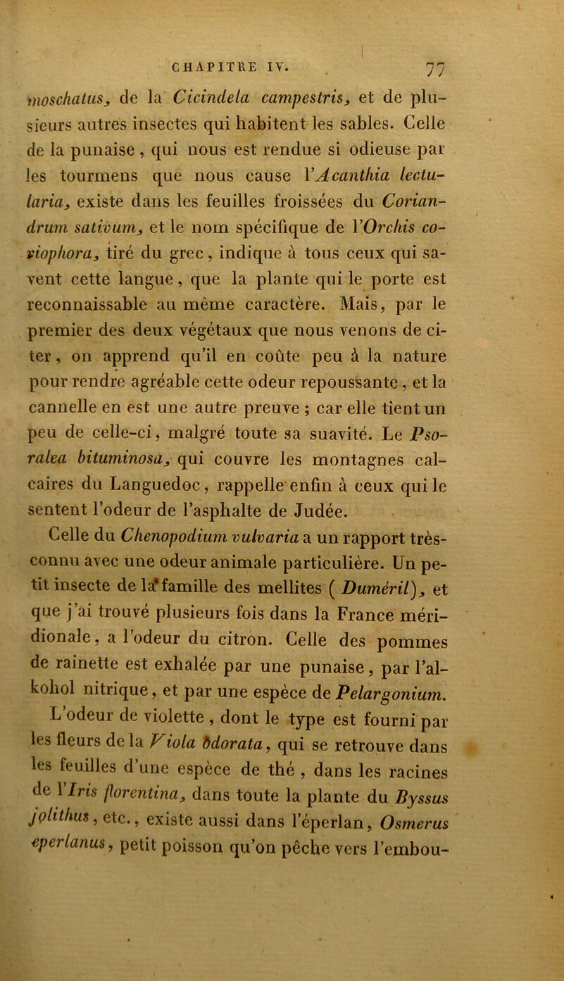 inoschatuSj de la Cicindela campestris, et de plu- sieurs autres insectes qui habitent les sables. Celle de la punaise , qui nous est rendue si odieuse par les tourmens que nous cause YAcanthia lectu- laria, existe dans les feuilles froissées du Corian- drum sativunij, et le nom spécifique de YOrchis co- viophora, tiré du grec, indique à tous ceux qui sa- vent cette langue, que la plante qui le porte est reconnaissable au même caractère. Mais, par le premier des deux végétaux que nous venons de ci- ter , on apprend qu’il en coûte peu à la nature pour rendre agréable cette odeur repoussante, et la cannelle en est une autre preuve ; car elle tient un peu de celle-ci, malgré toute sa suavité. Le Pso- ralea bituminosa, qui couvre les montagnes cal- caires du Languedoc, rappelle enfin à ceux qui le sentent l’odeur de l’asphalte de Judée. Celle du Chenopodium vulvaria a un rapport très- connu avec une odeur animale particulière. Un pe- tit insecte de la* famille des mellites ( DumèriV), et que j’ai trouvé plusieurs fois dans la France méri- dionale , a 1 odeur du citron. Celle des pommes de rainette est exhalée par une punaise, par l’ai— kohol nitrique, et par une espece de Pélargonium. L’odeur de violette , dont le type est fourni par les fleurs de la Viola Ôdorata, qui se retrouve dans les feuilles d’une espèce de thé , dans les racines de Y Iris florentina, dans toute la plante du Byssus jçlithus, etc., existe aussi dans l’éperlan, Osmerus eperlanus, petit poisson qu’on pêche vers l’embou-