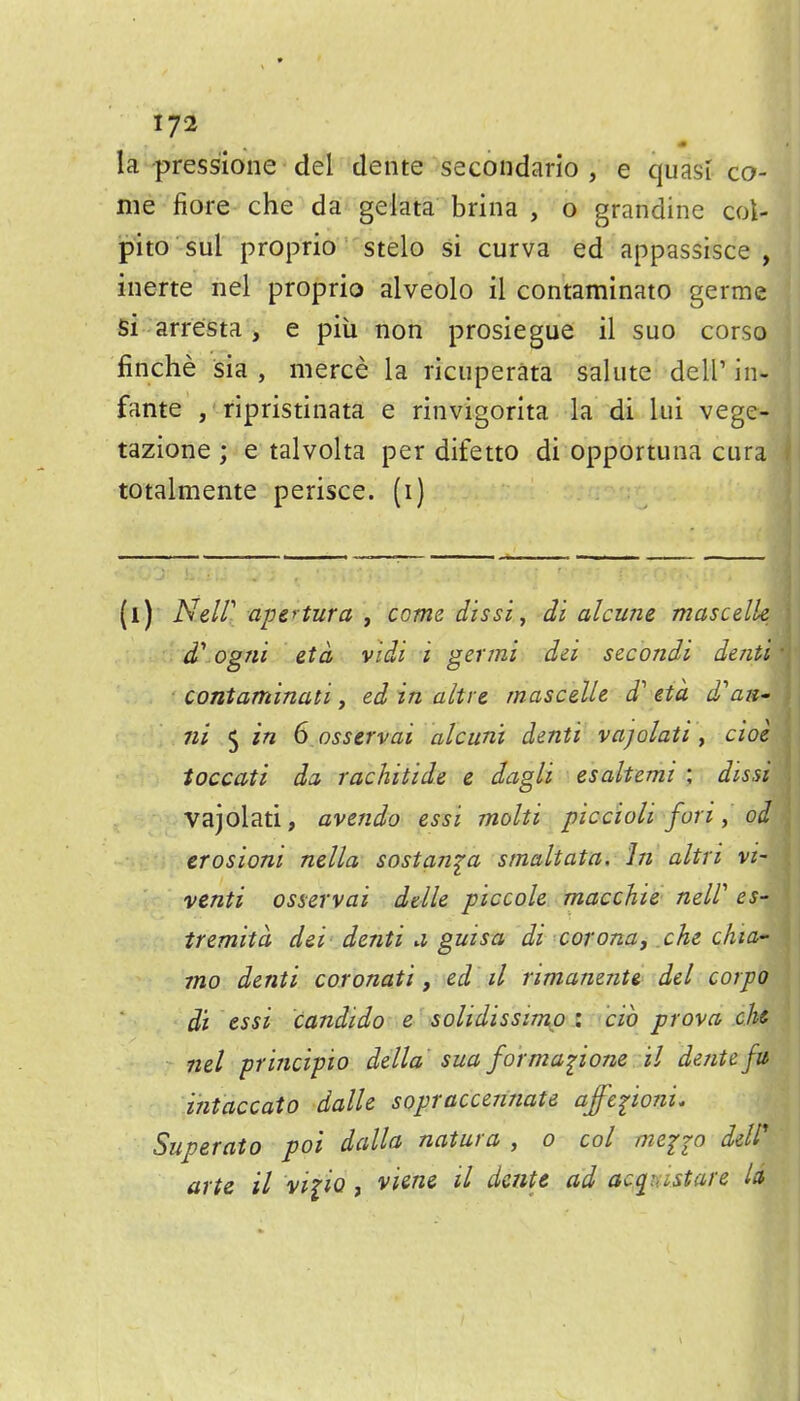 iy2 la pressione del dente secondario , e quasi co- me fiore che da gelata brina , o grandine col- pito ■ sul proprio stelo si curva ed appassisce J inerte nel proprio alveolo il contaminate germej si arresta, e piii non prosiegue il suo corso finche sia , merce la ricuperata salute dell' in- fante , ripristinata e rinvigorita la di lui vege- tazione ; e talvolta per difetto di opportuna cura totalmente perisce. (i) (l) N.elll apertura , come dissi^ di alcune mascelk d^ogai eta vidi i germi dci secondi denii contaminati, ed in altre mascelU J' eta d'aii' ni 5 in 6 osservai alcun't denti vajolati, cioe ioccati da rachitide e dagli esaltemi ; dissi vajolati, avendo essi molti piccioli fori, od erosioni neila sostan^a smaltata. In altri vi- venti osservai delle piccole macchie nelV es- tremita dei denti a guisa di corona, che chia* mo denti coronati, ed il rimanenti del corpo d't essi candido e solidissimp i cib prova cht nel principio della sua fo'rmapone il dentefu intaccato dalle sopraccennate affeponi. Superato poi dalla natura , o col me^p deW arte il vipo , viene il dente ad acqrastare Id