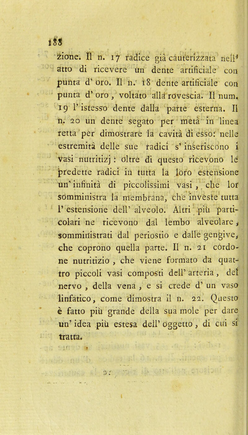 atto di ricevere un dente artificiale con punta d'oro. II h: 18 dente artificiale con punta d' oro , voltato alia rOvescia. II num. 19 I'istesso dente dalla patte esterna. II ti. 20 un dente segato per meta in lineal retta 'per drmostrare la cavita di essbf nellei ;-'estremitd delle sue radici s'iti^etiscono i Va§i~nUtritizjoltre di questo ricevono le ' ^redette radici in tutta la loro estensione tin' infinita di piccolissimi vasi ,. che: lor sOmrninistra la membrana, che investe tutta r estensione dell' alveolo. Altri piii parti- Colari ne ricevono dal lembo alveolare j sommirlistrati dal periostio e dalle gengive, che coprono quella parte. II n. 21 cordo- ne nutritizio , che viene formato da quat^ tro piccoli vasi composti dell' arteria , del nervo , della vena , e si crede d' un vaso linfatico, come dimostra il n. 22. Questo e fatto pill grande della sua mole per dare un' idea piii estesa dell' oggetto, di cui si tratta.