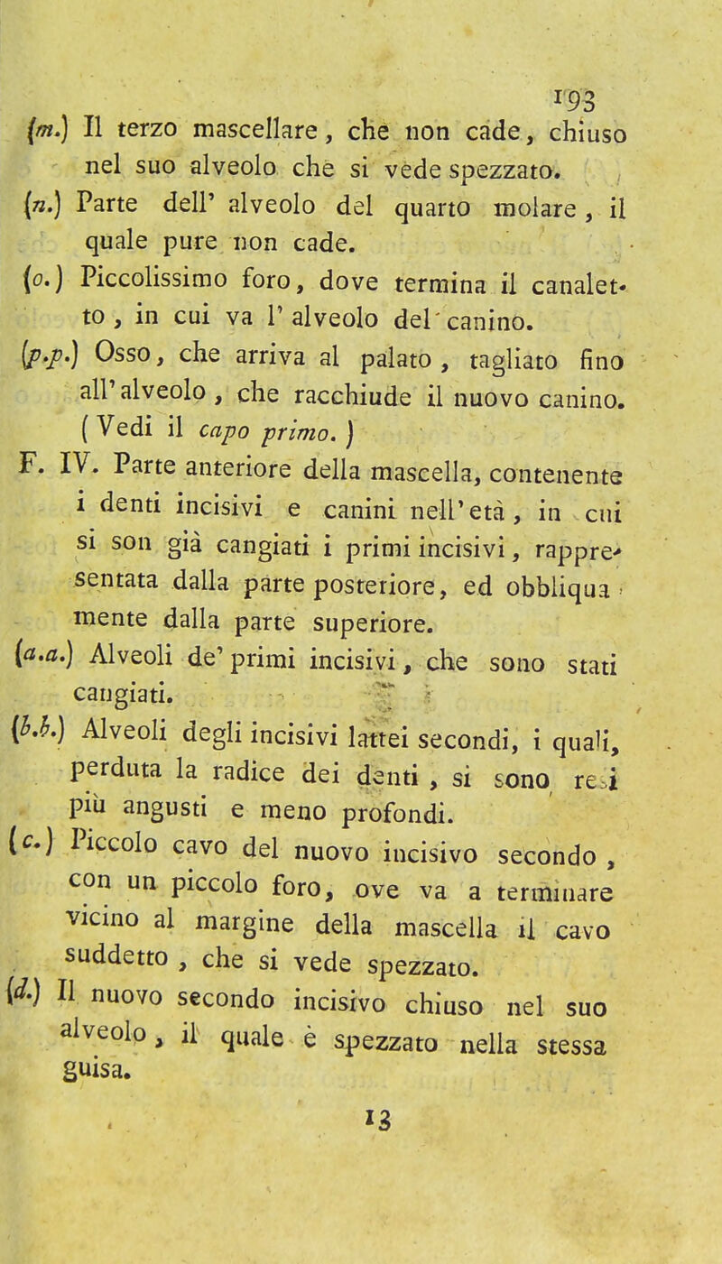 (m,) II terzo mascellare, cHe iion cade, chiuso nel suo alveolo che si vede spezzato. {n.) Parte delP alveolo del quarto molare , il quale pure iion cade. (o.) Piccolissimo foro, dove termina il canalet- to, in cui va T alveolo del canino. {p.j}.) Osso, che arriva al palato , tagliato fino air alveolo, che racchiude il nuovo canino. ( Vedi il capo prima. } F. IV. Parte anteriore della mascella, coiiteiiente i denti incisivi e canini nelPeta, in cui si son gia cangiati i primi incisivi, rappre> sentata dalla parte posteriore, ed obbliqua ' mente dalla parte superiore. (^.fl.) Alveoli de'primi incisivi, che sono stati cangiati. {^i.) Alveoli degii incisivi lattei secondi, i quali, perduta la radice dei denti , si sono, re.i piii angusti e meno profondi. (c.) Piccolo cavo del nuovo incisivo secondo , con un piccolo foro, ove va a terminare vicino al margine della mascella il cavo suddetto , che si vede spezzato. W II nuovo secondo incisivo chiuso nel suo alveolo, il quale, e spezzato nella stessa guisa.