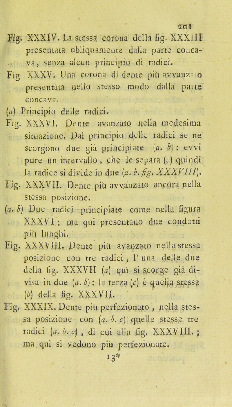 Fig. XXXIV. La stessa corona della fig. XXXill preseiuata cbliqnameiite dalla parte coaca- va, senza alcun principio di radici* Fig XXXV. Una corona di dente piii avyaiizn o presentata uelio stesso modo dalla paite concava. [a] Principio delle radici. Fig. XXXVI. Pente avanzato nella medesima situazione. Dal principio delle radici se ne scorgono due gia priqcipiaie {a. h] : evvi pure un intervajlo, che le separa (^) quindi la radice si divide in due [a. b.Jlg, XXXVIII], Fig. XXXVII. Dente.piu avv.anzato ancgra nella stessa posizione. (ct. b) Due radici principiate come nella figura XXXVI ; nia qui presentano d.Me condotti pin lunghi. Fig. XXXVm. Dente piii avanzato nella stessa posizione con tre radici, T una delle due della iig. XXXVII [a] qui si s,eofge gia di- visa in due (a. h): la terza (c) e xjuel).,a .s^essa [h) della fig. XXXVII. Fig. XXXIX. Dente piu periezipna.to , nella stes- sa posizione con (a. h. c) quelle stesse tre radici (a,b.c] , di cui alja fig. XXXVIII. ; ma,qui si vedono piii perfeziona.te.