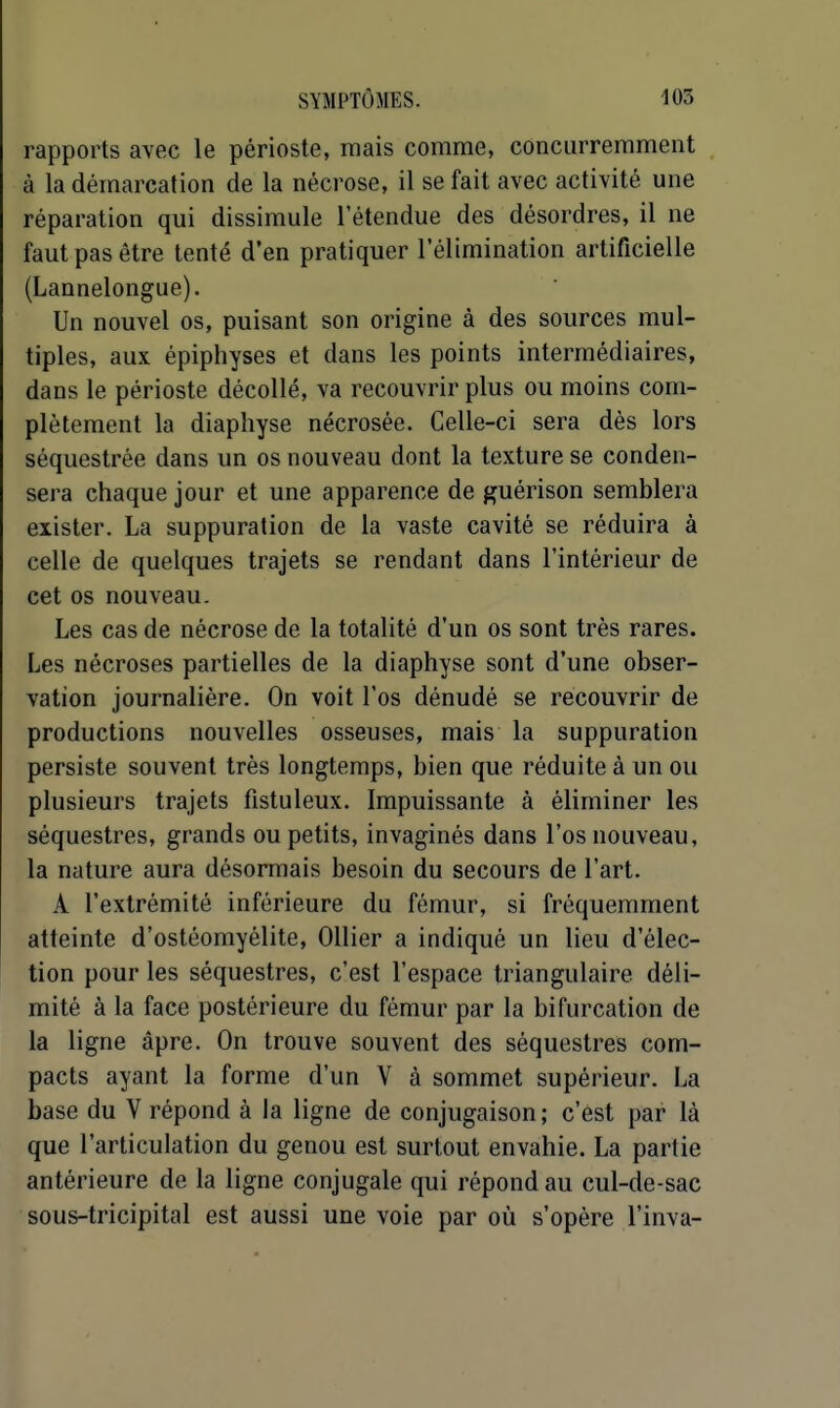 rapports avec le périoste, mais comme, concurremment à la démarcation de la nécrose, il se fait avec activité une réparation qui dissimule l'étendue des désordres, il ne faut pas être tenté d'en pratiquer l'élimination artificielle (Lannelongue). Un nouvel os, puisant son origine à des sources mul- tiples, aux épiphyses et dans les points intermédiaires, dans le périoste décollé, va recouvrir plus ou moins com- plètement la diaphyse nécrosée. Celle-ci sera dès lors séquestrée dans un os nouveau dont la texture se conden- sera chaque jour et une apparence de ^uérison semblera exister. La suppuration de la vaste cavité se réduira à celle de quelques trajets se rendant dans l'intérieur de cet os nouveau. Les cas de nécrose de la totalité d'un os sont très rares. Les nécroses partielles de la diaphyse sont d'une obser- vation journalière. On voit l'os dénudé se recouvrir de productions nouvelles osseuses, mais la suppuration persiste souvent très longtemps, bien que réduite à un ou plusieurs trajets fistuleux. Impuissante à éliminer les séquestres, grands ou petits, invaginés dans l'os nouveau, la nature aura désormais besoin du secours de l'art. A l'extrémité inférieure du fémur, si fréquemment atteinte d'ostéomyélite, Ollier a indiqué un lieu d'élec- tion pour les séquestres, c'est l'espace triangulaire déli- mité à la face postérieure du fémur par la bifurcation de la ligne âpre. On trouve souvent des séquestres com- pacts ayant la forme d'un V à sommet supérieur. La base du V répond à la ligne de conjugaison; c'est par là que l'articulation du genou est surtout envahie. La partie antérieure de la ligne conjugale qui répond au cul-de-sac sous-tricipital est aussi une voie par où s'opère l'inva-