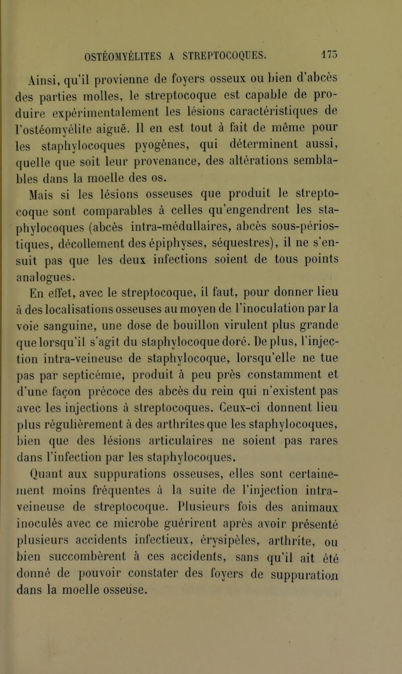 Ainsi, qu'il provienne de foyers osseux ou bien d'abcès des parties molles, le streptocoque est capable de pro- duire expérimentalement les lésions caractéristiques de l'ostéomyélite aiguë. Il en est tout à fait de même pour les stapbylocoques pyogènes, qui déterminent aussi, quelle que soit leur provenance, des altérations sembla- bles dans la moelle des os. Mais si les lésions osseuses que produit le strepto- coque sont comparables à celles qu'engendrent les sta- phylocoques (abcès intra-méduUaires, abcès sous-périos- tiques, décollement des épipbyses, séquestres), il ne s'en- suit pas que les deux infections soient de tous points analogues. En effet, avec le streptocoque, il faut, pour donner lieu à des localisations osseuses au moyen de l'inoculation par la voie sanguine, une dose de bouillon virulent plus grande que lorsqu'il s'agit du staphylocoque doré. Déplus, l'injec- tion intra-veineusc de staphylocoque, lorsqu'elle ne tue pas par septicémie, produit à peu près constamment et d'une façon précoce des abcès du rein qui n'existent pas avec les injections à streptocoques. Ceux-ci donnent lieu plus réguUèrement à des arthrites que les staphylocoques, bien que des lésions articulaires ne soient pas rares dans l'infection par les staphylocoques. Quant aux suppurations osseuses, elles sont certaine- juent moins fréquentes à la suite de l'injection intra- veineusc de streptocoque. Plusieurs fois des animaux inoculés avec ce microbe guérirent après avoir présenté plusieurs accidents infectieux, érysipèles, arthrite, ou bien succombèrent à ces accidents, sans qu'il ait été donné de pouvoir constater des foyers de suppuratiou dans la moelle osseuse.