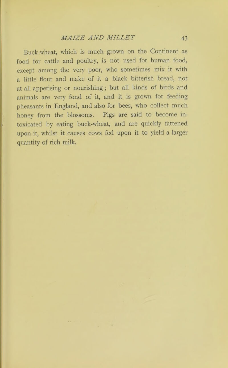 Buck-wheat, which is much grown on the Continent as food for cattle and poultry, is not used for human food, except among the very poor, who sometimes mix it with a little flour and make of it a black bitterish bread, not at all appetising or nourishing; but all kinds of birds and animals are very fond of it, and it is grown for feeding pheasants in England, and also for bees, who collect much honey from the blossoms. Pigs are said to become in- toxicated by eating buck-wheat, and are quickly fattened upon it, whilst it causes cows fed upon it to yield a larger quantity of rich milk.