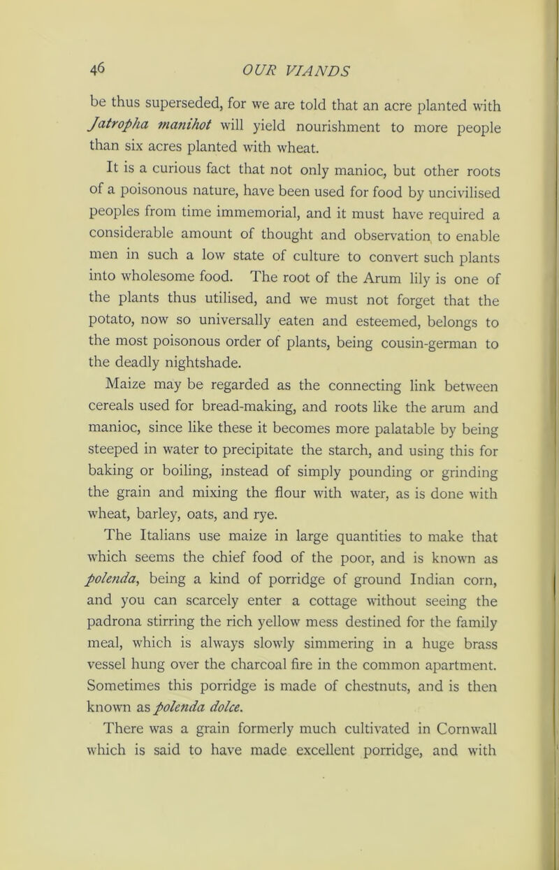 be thus superseded, for we are told that an acre planted with Jatropha manihot will yield nourishment to more people than six acres planted with wheat. It is a curious fact that not only manioc, but other roots of a poisonous nature, have been used for food by uncivilised peoples from time immemorial, and it must have required a considerable amount of thought and observation to enable men in such a low state of culture to convert such plants into wholesome food. The root of the Arum lily is one of the plants thus utilised, and we must not forget that the potato, now so universally eaten and esteemed, belongs to the most poisonous order of plants, being cousin-german to the deadly nightshade. Maize may be regarded as the connecting link between cereals used for bread-making, and roots like the arum and manioc, since like these it becomes more palatable by being steeped in water to precipitate the starch, and using this for baking or boiling, instead of simply pounding or grinding the grain and mixing the flour with water, as is done with wheat, barley, oats, and rye. The Italians use maize in large quantities to make that which seems the chief food of the poor, and is known as polenda, being a kind of porridge of ground Indian corn, and you can scarcely enter a cottage without seeing the padrona stirring the rich yellow mess destined for the family meal, which is always slowly simmering in a huge brass vessel hung over the charcoal fire in the common apartment. Sometimes this porridge is made of chestnuts, and is then known as polc7ida dolce. There was a grain formerly much cultivated in Cornwall which is said to have made excellent porridge, and with