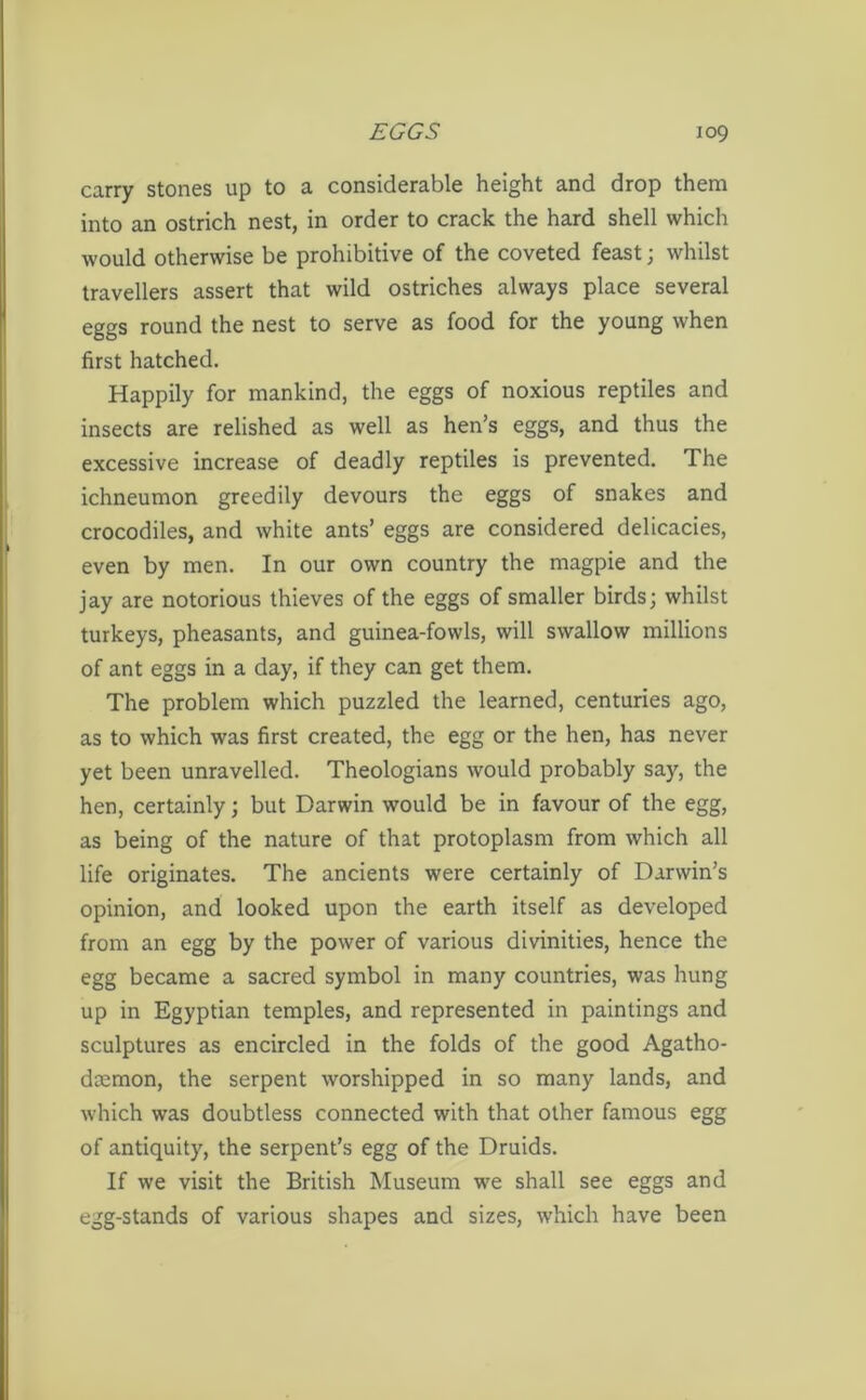 carry stones up to a considerable height and drop them into an ostrich nest, in order to crack the hard shell which would otherwise be prohibitive of the coveted feast; whilst travellers assert that wild ostriches always place several eggs round the nest to serve as food for the young when first hatched. Happily for mankind, the eggs of noxious reptiles and insects are relished as well as hen’s eggs, and thus the excessive increase of deadly reptiles is prevented. The ichneumon greedily devours the eggs of snakes and crocodiles, and white ants’ eggs are considered delicacies, even by men. In our own country the magpie and the jay are notorious thieves of the eggs of smaller birds; whilst turkeys, pheasants, and guinea-fowls, will swallow millions of ant eggs in a day, if they can get them. The problem which puzzled the learned, centuries ago, as to which was first created, the egg or the hen, has never yet been unravelled. Theologians would probably say, the hen, certainly; but Darwin would be in favour of the egg, as being of the nature of that protoplasm from which all life originates. The ancients were certainly of Darwin’s opinion, and looked upon the earth itself as developed from an egg by the power of various divinities, hence the egg became a sacred symbol in many countries, was hung up in Egyptian temples, and represented in paintings and sculptures as encircled in the folds of the good Agatho- da^mon, the serpent worshipped in so many lands, and which was doubtless connected with that other famous egg of antiquity, the serpent’s egg of the Druids. If we visit the British Museum we shall see eggs and egg-stands of various shapes and sizes, which have been