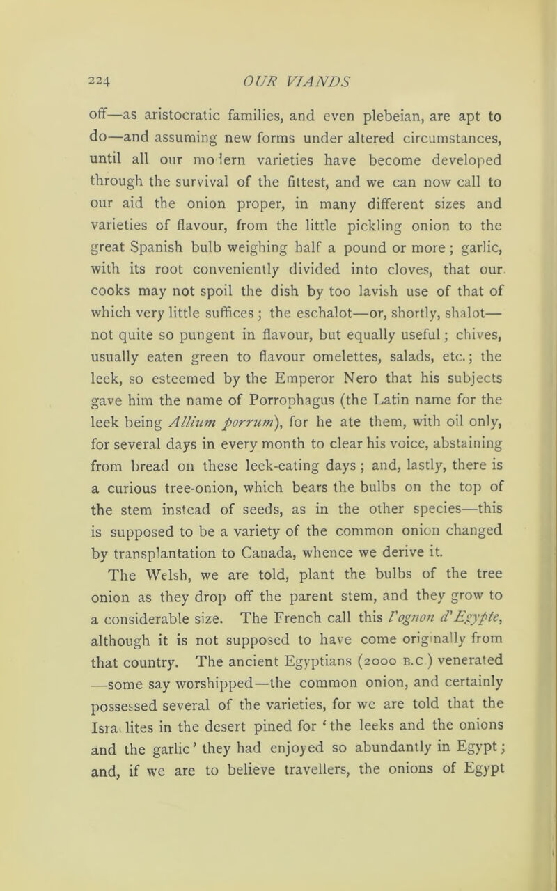 off—as aristocratic families, and even plebeian, are apt to do—and assuming new forms under altered circumstances, until all our mo lern varieties have become developed through the survival of the fittest, and we can now call to our aid the onion proper, in many different sizes and varieties of flavour, from the little pickling onion to the great Spanish bulb weighing half a pound or more; garlic, with its root conveniently divided into cloves, that our cooks may not spoil the dish by too lavish use of that of which very little suffices ; the eschalot—or, shortly, shalot— not quite so pungent in flavour, but equally useful; chives, usually eaten green to flavour omelettes, salads, etc.; the leek, so esteemed by the Emperor Nero that his subjects gave him the name of Porrophagus (the Latin name for the leek being Allium porrum), for he ate them, with oil only, for several days in every month to clear his voice, abstaining from bread on these leek-eating days; and, lastly, there is a curious tree-onion, which bears the bulbs on the top of the stem instead of seeds, as in the other species—this is supposed to be a variety of the common onion changed by transplantation to Canada, whence we derive it. The Welsh, we are told, plant the bulbs of the tree onion as they drop off the parent stem, and they grow to a considerable size. The French call this I'ognon d’Egypte, although it is not supposed to have come originally from that country. The ancient Egyptians (2000 B.c ) venerated —some say worshipped—the common onion, and certainly possessed several of the varieties, for we are told that the Isra lites in the desert pined for ‘the leeks and the onions and the garlic’ they had enjoyed so abundantly in Egypt; and, if we are to believe travellers, the onions of Egypt