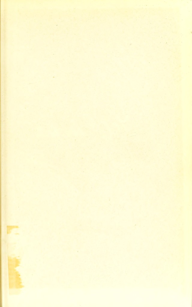 digitised image 3