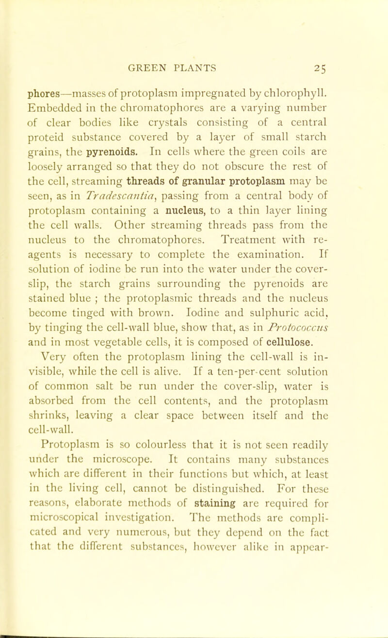 phores—masses of protoplasm impregnated by chlorophyll. Embedded in the chromatophores are a varying number of clear bodies like crystals consisting of a central proteid substance covered by a layer of small starch grains, the pyrenoids. In cells where the green coils are loosely arranged so that they do not obscure the rest of the cell, streaming threads of granular protoplasm may be seen, as in Tradescantia^ passing from a central body of protoplasm containing a nucleus, to a thin layer lining the cell walls. Other streaming threads pass from the nucleus to the chromatophores. Treatment with re- agents is necessary to complete the examination. If solution of iodine be run into the water under the cover- slip, the starch grains surrounding the pyrenoids are stained blue ; the protoplasmic threads and the nucleus become tinged with brown. Iodine and sulphuric acid, by tinging the cell-wall blue, show that, as in Protococcus and in most vegetable cells, it is composed of cellulose. Very often the protoplasm lining the cell-wall is in- visible, while the cell is alive. If a ten-per cent solution of common salt be run under the cover-slip, water is absorbed from the cell contents, and the protoplasm shrinks, leaving a clear space between itself and the cell-wall. Protoplasm is so colourless that it is not seen readily under the microscope. It contains many substances which are different in their functions but which, at least in the living cell, cannot be distinguished. For these reasons, elaborate methods of staining are required for microscopical investigation. The methods are compli- cated and very numerous, but they depend on the fact that the different substances, however alike in appear-