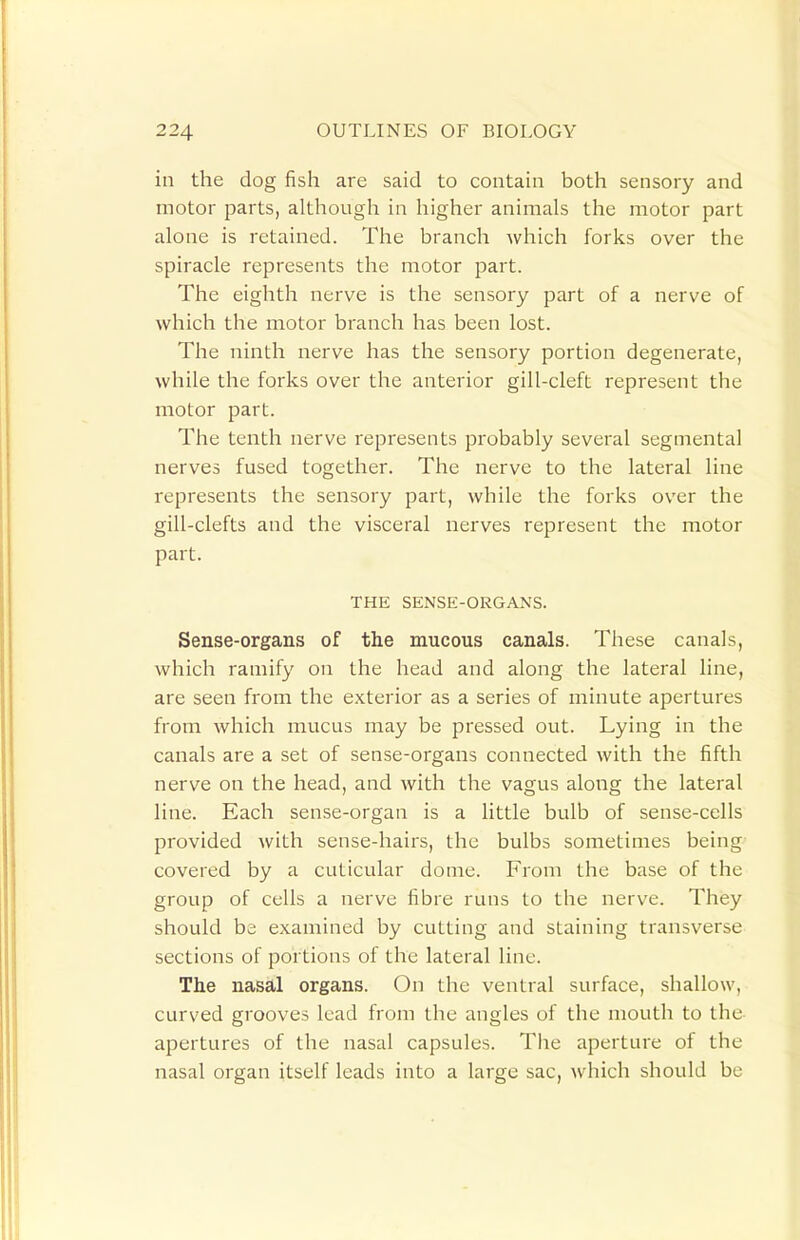 in the dog fish are said to contain both sensory and motor parts, although in higher animals the motor part alone is retained. The branch which forks over the spiracle represents the motor part. The eighth nerve is the sensory part of a nerve of which the motor branch has been lost. The ninth nerve has the sensory portion degenerate, while the forks over the anterior gill-cleft represent the motor part. The tenth nerve represents probably several segmental nerves fused together. The nerve to the lateral line represents the sensory part, while the forks over the gill-clefts and the visceral nerves represent the motor part. THE SENSE-ORGANS. Sense-organs of the mucous canals. These canals, which ramify on the head and along the lateral line, are seen from the exterior as a series of minute apertures from which mucus may be pressed out. Lying in the canals are a set of sense-organs connected with the fifth nerve on the head, and with the vagus along the lateral line. Each sense-organ is a little bulb of sense-cells provided with sense-hairs, the bulbs sometimes being covered by a cuticular dome. From the base of the group of cells a nerve fibre runs to the nerve. They should be examined by cutting and staining transverse sections of portions of the lateral line. The nasal organs. On the ventral surface, shallow, curved grooves lead from the angles of the mouth to the apertures of the nasal capsules. Tiie aperture of the nasal organ itself leads into a large sac, which should be