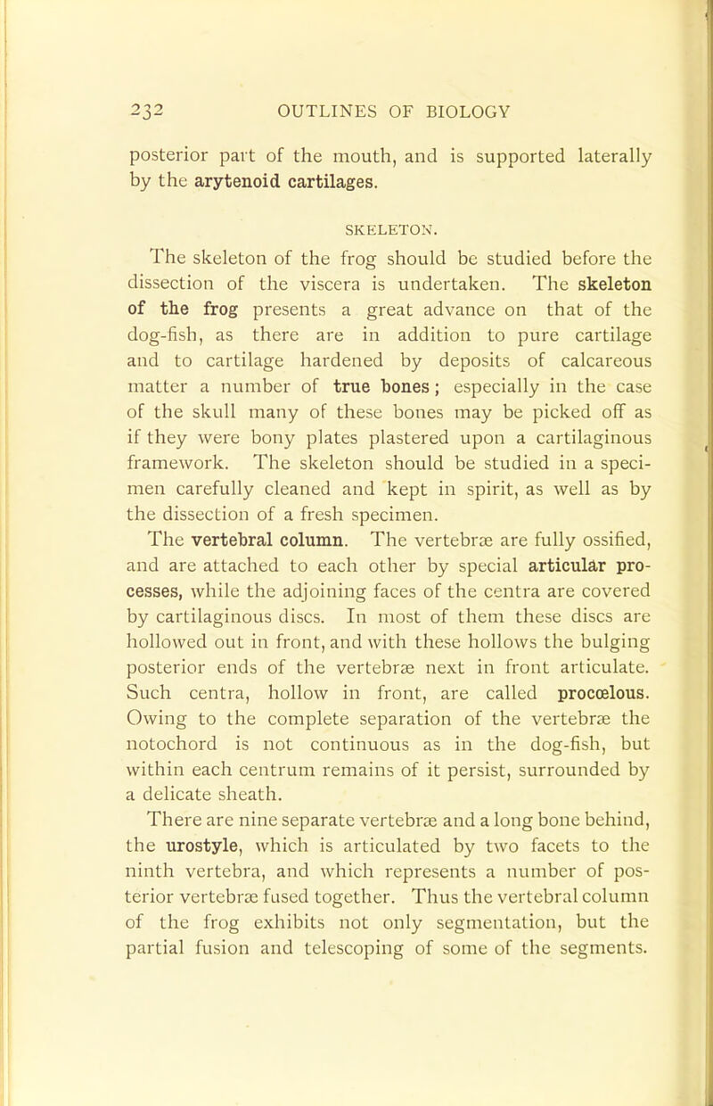 posterior part of the mouth, and is supported laterally by the arytenoid cartilages. SKELETON. The skeleton of the frog should be studied before the dissection of the viscera is undertaken. The skeleton of tlie frog presents a great advance on that of the dog-fish, as there are in addition to pure cartilage and to cartilage hardened by deposits of calcareous matter a number of true bones; especially in the case of the skull many of these bones may be picked off as if they were bony plates plastered upon a cartilaginous framework. The skeleton should be studied in a speci- men carefully cleaned and kept in spirit, as well as by the dissection of a fresh specimen. The vertebral column. The vertebrae are fully ossified, and are attached to each other by special articular pro- cesses, while the adjoining faces of the centra are covered by cartilaginous discs. In most of them these discs are hollowed out in front, and with these hollows the bulging posterior ends of the vertebras next in front articulate. Such centra, hollow in front, are called procoelous. Owing to the complete separation of the vertebrae the notochord is not continuous as in the dog-fish, but within each centrum remains of it persist, surrounded by a delicate sheath. There are nine separate vertebras and a long bone behind, the urostyle, which is articulated by two facets to the ninth vertebra, and which represents a number of pos- terior vertebrae fused together. Thus the vertebral column of the frog exhibits not only segmentation, but the partial fusion and telescoping of some of the segments.