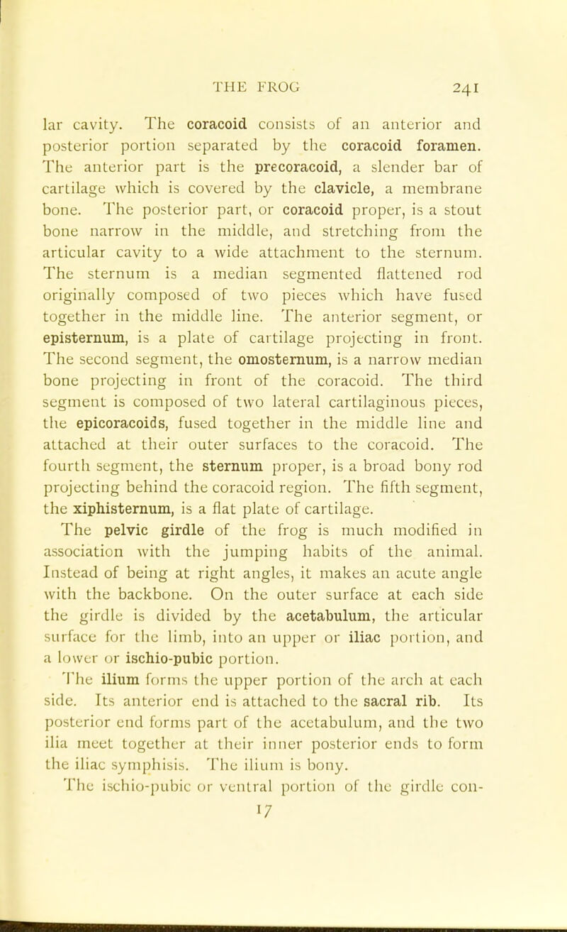 lar cavity. The coracoid consists of an anterior and posterior portion separated by the coracoid foramen. The anterior part is the precoracoid, a slender bar of cartilage which is covered by the clavicle, a membrane bone. The posterior part, or coracoid proper, is a stout bone narrow in the middle, and stretching from the articular cavity to a wide attachment to the sternum. The sternum is a median segmented flattened rod originally composed of two pieces which have fused together in the middle line. The anterior segment, or episternum, is a plate of cartilage projecting in front. The second segment, the omostemum, is a narrow median bone projecting in front of the coracoid. The third segment is composed of two lateral cartilaginous pieces, the epicoracoids, fused together in the middle line and attached at their outer surfaces to the coracoid. The fourth segment, the sternum proper, is a broad bony rod projecting behind the coracoid region. The fifth segment, the xiphisternum, is a flat plate of cartilage. The pelvic girdle of the frog is much modified in association with the jumping habits of the animal. Instead of being at right angles, it makes an acute angle with the backbone. On the outer surface at each side the girdle is divided by the acetabulum, the articular surface for the limb, into an upper or iliac portion, and a lower or ischio-pubic portion. The ilium forms the upper portion of the arch at each side. Its anterior end is attached to the sacral rib. Its posterior end forms part of the acetabulum, and the two ilia meet together at their inner posterior ends to form the iliac symphisis. The ilium is bony. The ischio-pubic or ventral portion of the girdle con- 17