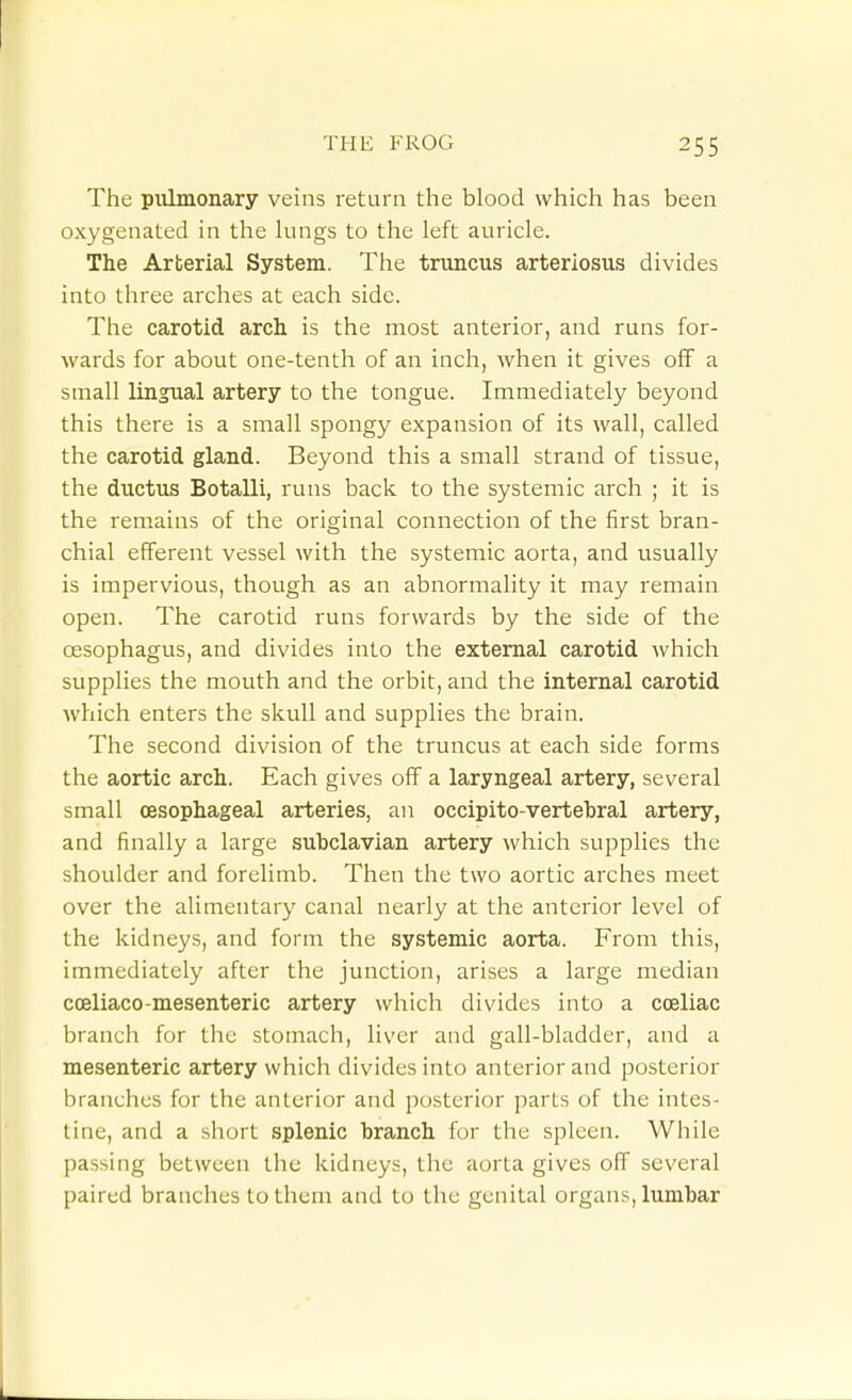 The pulmonary veins return the blood which has been oxygenated in the lungs to the left auricle. The Arberial System. The truncus arteriosus divides into three arches at each side. The carotid arch is the most anterior, and runs for- wards for about one-tenth of an inch, when it gives off a small lingual artery to the tongue. Immediately beyond this there is a small spongy expansion of its wall, called the carotid gland. Beyond this a small strand of tissue, the ductus Botalli, runs back to the systemic arch ; it is the remains of the original connection of the first bran- chial efferent vessel with the systemic aorta, and usually is impervious, though as an abnormality it may remain open. The carotid runs forwards by the side of the oesophagus, and divides into the external carotid which supplies the mouth and the orbit, and the internal carotid which enters the skull and supplies the brain. The second division of the truncus at each side forms the aortic arch. Each gives off a laryngeal artery, several small oesophageal arteries, an occipito-vertebral artery, and finally a large subclavian artery which supplies the shoulder and forelimb. Then the two aortic arches meet over the alimentary canal nearly at the anterior level of the kidneys, and form the systemic aorta. From this, immediately after the junction, arises a large median coeliaco-mesenteric artery which divides into a cceliac branch for the stomach, liver and gall-bladder, and a mesenteric artery which divides into anterior and posterior branches for the anterior and posterior parts of the intes- tine, and a short splenic branch for the spleen. While passing between the kidneys, the aorta gives off several paired branches to them and to the genital organs, lumbar