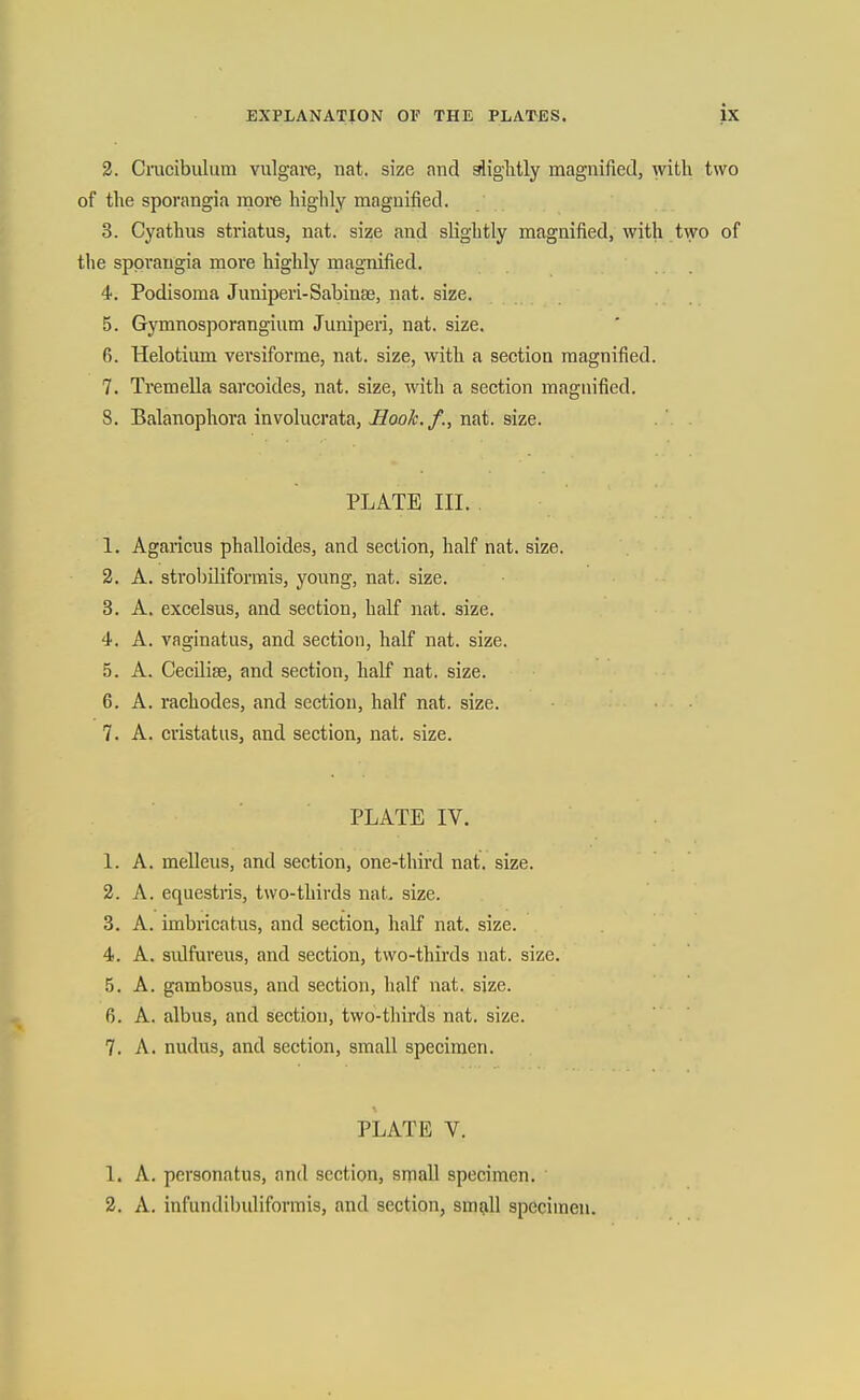 2. Cracibulum vulgave, nat. size and gliglitly magnified, with two of the sporangia more highly magnified. 3. Cyathus striatus, nat. size and slightly magnified, with two of the sporangia more highly magnified. 4. Podisoma Juniperi-Sabinas, nat. size. 5. Gymnosporangium Juniperi, nat. size. 6. Helotium versiforme, nat. size, with a section magnified. 7. Tremella sarcoides, nat. size, with a section magnified. 8. Balanophora involucrata. Hook./., nat. size. PLATE III. . 1. Agaiicus phalloides, and section, half nat. size. 2. A. strobiliformis, young, nat. size. 3. A. excelsus, and section, half nat. size. 4. A. vaginatus, and section, half nat. size. 5. A. CecUise, and section, half nat. size. 6. A. rachodes, and section, half nat. size. 7. A. cristatus, and section, nat. size. PLATE IV. 1. A. meUeiis, and section, one-third nat. size. 2. A. equestris, two-thirds nat. size. 3. A. imbricatus, and section, half nat. size. 4. A. sulfureus, and section, two-thirds nat. size. .5. A. gambosus, and section, half nat. size. 6. A. albus, and section, two-thirds nat. size. 7. A. nudus, and section, small specimen. PLATE V. 1. A. personatus, and section, small specimen. 2. A. infundil)uliformis, and section, sm^ill specimen.