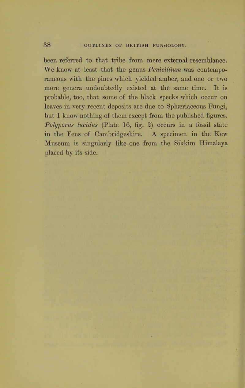 been referred to that tribe from mere external resemblance. We know at least that the genus Penicillium was contempo- raneous with the pines which yielded amber^ and one or two more genera undoubtedly existed at the same time. It is probablCj too, that some of the black specks which occur on leaves in very recent deposits are due to Sphseriaceous Fuugi, but I know nothing of them except from the published figures. Polyporus lucidus (Plate 16, fig. 3) occurs in a fossil state in the Fens of Cambridgeshire. A specimen in the Kew Museum is singularly like one from the Sikkim Himalaya placed by its side.