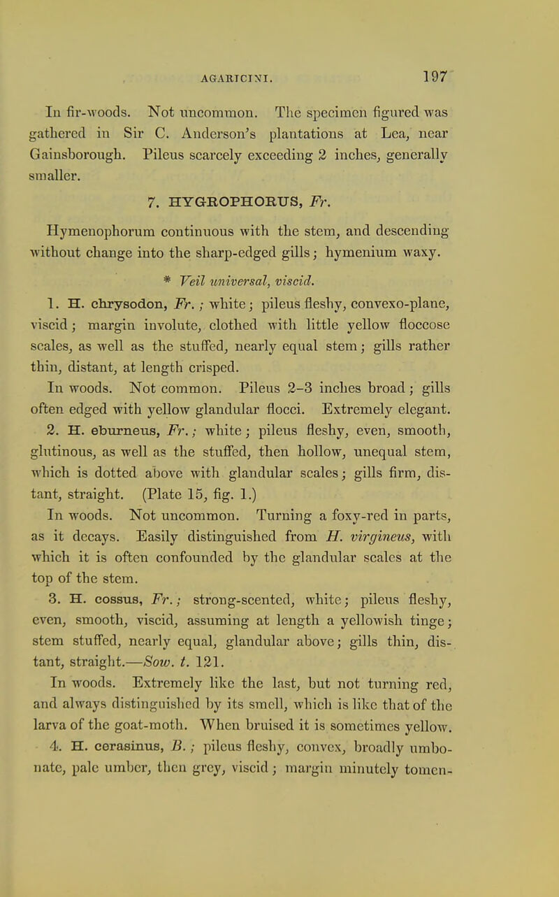 In fir-woods. Not uncommon. The specimen figured was gathered in Sir C. Anderson's phantations at Lea, near Gainsborough. Pileus scarcely exceeding 2 inches, generally smaller. 7. HYGROPHORUS, Fr. Hymenophorum continuous with the stem, and descending without change into the sharp-edged gills; hymenium waxy. * Yell universal, viscid. 1. H. chrysodon, Fr.; white j pileus fleshy, convexo-plane, viscid; margin involute, clothed with little yellow floccose scales, as well as the stuffed, nearly equal stem; gills rather thin, distant, at length crisped. In woods. Not common. Pileus 2-3 inches broad ; gills often edged with yellow glandular flocci. Extremely elegant. 3. H. eburneus, F7\; white; pileus fleshy, even, smooth, glutinous, as well as the stuffed, then hollow, unequal stem, which is dotted ai)ove with glandular scales; gills firm, dis- tant, straight. (Plate 15, fig. 1.) In woods. Not uncommon. Turning a foxy-red in parts, as it decays. Easily distinguished from H. virgineus, with which it is often confounded by the glandular scales at the top of the stem. 3. H. cossTis, Fr.; strong-scented, white; pileus fleshy, even, smooth, viscid, assuming at length a yellowish tinge; stem stuff'ed, nearly equal, glandular above; gills thin, dis- tant, straight.—Sow. t. 121. In woods. Extremely like the last, but not turning red, and always distinguished by its smell, which is like that of the larva of the goat-moth. When bruised it is sometimes yellow. 4. H. cerasinus, B.; pileus fleshy, convex, broadly umbo- nate, pale umber, then grey, viscid; mai'gin minutely tomen-