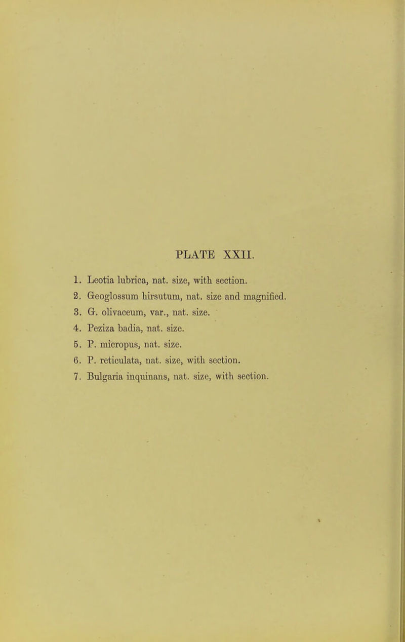 1. Leotia lubrica, nat. size, with section. 2. Geoglossum liii-sutum, nat. size and magnified. 3. Gr. olivaceum, var., nat. size. 4. Peziza badia, nat. size. 5. P. micropus, nat. size. 6. P. reticulata, nat. size, with section. 7. Bulgaria inquinans, nat. size, with section.