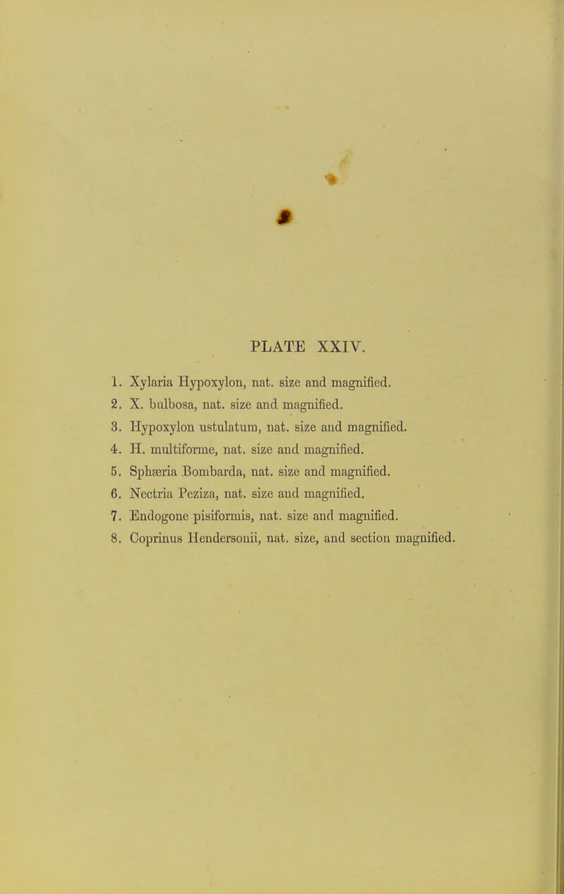 1. Xylaria Hypoxylon, nat. size and magnified. 2. X. bidbosa, nat. size and magnified. 3. Hypoxylon ustulatura, nat. size and magnified. 4. H. multiforme, nat. size and magnified. 5. Sphseria Bombarda, nat. size and magnified. 6. Nectria Peziza, nat. size and magnified. 7. Endogone pisiformis, nat. size and magnified. 8. Coprinus Hendersonii, nat. size, and section magnified.