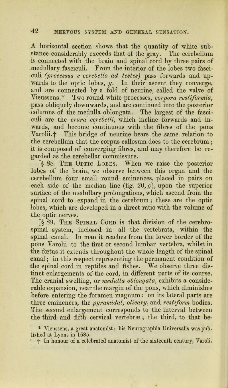 A horizontal section shows that the quantity of white sub- stance considerably exceeds that of the gray. The cerebellum is connected with the brain and spinal cord by three pairs of medullary fasciculi. From the interior of the lobes two fasci- culi (processus e cerebello ad testes) pass forwards and up- wards to the optic lobes, g. In their ascent they converge, and are connected by a fold of neurine, called the valve of Vieussens.* Two round white processes, corpora restiformia, pass obliquely downwards, and are continued into the posterior columns of the medulla oblongata. The largest of the fasci- culi are the crura cerebeUi, which incline forwards and in- wards, and become continuous with the fibres of the pons Varolii.f This bridge of iieurine bears the same relation to the cerebellum that the corpus callosum does to the cerebrum ; it is composed of converging fibres, and may therefore be re- garded as the cerebellar commissure. [§ 88. The Optic Lobes. When we raise the posterior lobes of the brain, we observe between this organ and the cerebellum four small round eminences, placed in pairs on each side of the median line (fig. 20, ^), upon the superior surface of the medullary prolongations, which ascend from the spinal cord to expand in the cerebrum ; these are the optic lobes, which are developed in a direct ratio with the volume of the optic nerves. [§ 89. The Spinal Cord is that division of the cerebro- spinal system, inclosed in all the vertebrata, within the spinal canal. In man it reaches from the lower border of the pons Varolii to the first or second lumbar vertebra, whilst in the foetus it extends throughout the whole length of the spinal canal; in this respect representing the permanent condition of the spinal cord in reptiles and fishes. We observe three dis- tinct enlargements of the cord, in different parts of its course. The cranial swelling, or medulla oblongata, exhibits a conside- rable expansion, near the margin of the pons, which diminishes before entering the foramen magnum : on its lateral parts are three eminences, the pyramidal, olivary, and restiform bodies. The second enlargement corresponds to the interval between the third and fifth cervical vertebrae ; the third, to that be- * Vieussens, a great anatomist; his Neurographia Universalis was pub- lished at Lyons in 1685. t In honour of a celebrated anatomist of the sbcteenth century, Varoli.