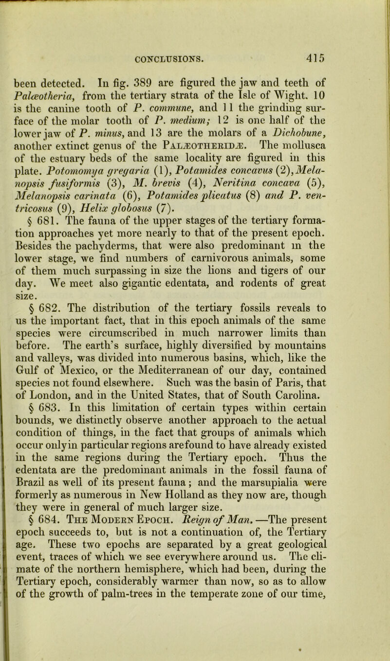 been detected. In fig. 389 are figured the jaw and teeth of Falceotheria^ from the tertiary strata of the Isle of Wight. 10 is the canine tooth of P. commune, and 11 the grinding sur- face of the molar tooth of P. medium; 12 is one half of the lower jaw of P. and 13 are the molars of a Dichobune, another extinct genus of the PALyUOTHERiDiE. The moUusca of the estuary beds of the same locality are figured in this plate. Potomomya gregaria (1), Potamides concavus {2),Mela- nopsis fiisiformis (3), M. brevis (4), Neritina concava (5), Melanopsis carinata (6), Potamides plicatus (8) and P. ven- tricosus (9), Helix globosus (7). § 681. The fauna of the upper stages of the tertiary forma- tion approaches yet more nearly to that of the present epoch. Besides the pachyderms, that were also predominant in the lower stage, we find numbers of carnivorous animals, some of them much surpassing in size the lions and tigers of our day. We meet also gigantic edentata, and rodents of great size. § 682. The distribution of the tertiary fossils reveals to us the important fact, that in this epoch animals of the same species were circumscribed in much narrower hmits than before. The earth’s surface, highly diversified by mountains and valleys, was divided into numerous basins, which, like the Gulf of Mexico, or the Mediterranean of our day, contained species not found elsewhere. Such was the basin of Paris, that of London, and in the United States, that of South Carolina. § 683. In this limitation of certain types within certain bounds, we distinctly observe another approach to the actual condition of things, in the fact that groups of animals which occur only in particular regions are found to have already existed in the same regions during the Tertiary epoch. Thus the edentata are the predominant animals in the fossil fauna of Brazd as well of its present fauna; and the marsupialia were formerly as numerous in New Holland as they now are, though they were in general of much larger size. § 684. The Modern Epoch. Reign of Man. —The present epoch succeeds to, but is not a continuation of, the Tertiary age. These two epochs are separated by a great geological event, traces of which we see everywhere around us. The ch- mate of the northern hemisphere, which had been, during the Tertiary epoch, considerably warmer than now, so as to allow of the growth of palm-trees in the temperate zone of our time.