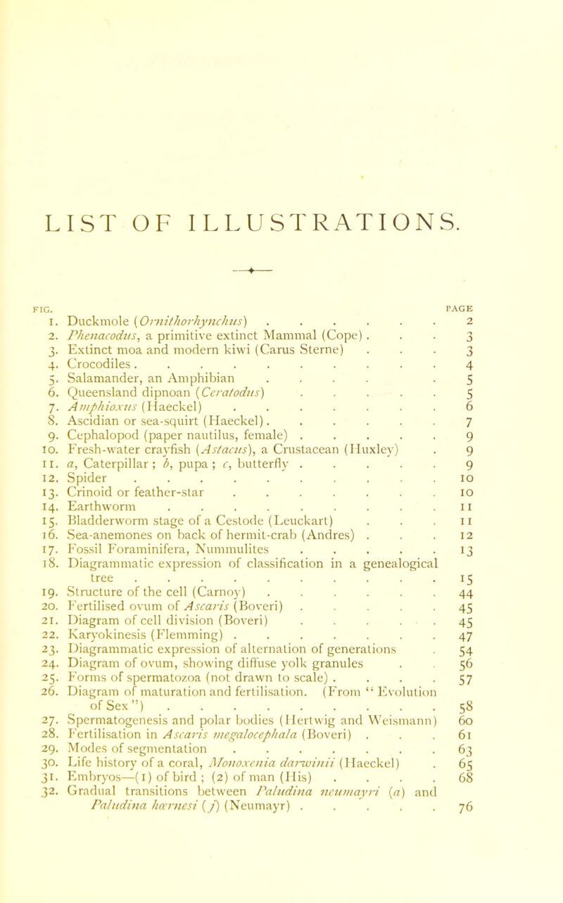 LIST OF ILLUSTRATIONS. FIG. PAGE 1. Duckmole (Omithorhynchus) ...... 2 2. Phenacodus, a primitive extinct Mammal (Cope). • • 3 3. Extinct moa and modern kiwi (Carus Sterne) ... 3 4. Crocodiles.......... 4 5. Salamander, an Amphibian .... .5 6. Queensland dipnoan (Cera/odits) ..... 5 7. Amphioxus (Haeckel) ....... 6 8. Ascidian or sea-squirt (Haeckel). ..... 7 9. Cephalopod (paper nautilus, female) ..... 9 10. Fresh-water crayfish (Astacus), a Crustacean (Huxley) . 9 11. a, Caterpillar; b, pupa; c, butterfly ..... 9 12. Spider .......... 10 13. Crinoid or feather-star ....... 10 14. Earthworm . . . . . . . .11 15. Bladderworm stage of a Cestode (Leuckart) . . .11 16. Sea-anemones on back of hermit-crab (Andres) ... 12 17. Fossil Foraminifera, Nummulites ..... 13 18. Diagrammatic expression of classification in a genealogical tree 15 19. Structure of the cell (Camoy) ...... 44 20. Fertilised ovum of Ascaris (Boveri) ..... 45 21. Diagram of cell division (Boveri) . . . . . 45 22. Karyokinesis (Flemming) ....... 47 23. Diagrammatic expression of alternation of generations 54 24. Diagram of ovum, showing diffuse yolk granules . 56 25. Forms of spermatozoa (not drawn to scale) .... 57 26. Diagram of maturation and fertilisation. (From “Evolution of Sex”) 58 27. Spermatogenesis and polar bodies (Hertwig and Weismann) 60 28. Fertilisation in Ascaris megalocephala (Boveri) ... 61 29. Modes of segmentation ....... 63 30. Life history of a coral, Monoxenia darwinii (Haeckel) . 65 31. Embryos—(1) of bird; (2) of man (His) .... 68 32. Gradual transitions between Paludina neumayri {a) and Paludina hcernesi (/) (Neumayr) ..... 76