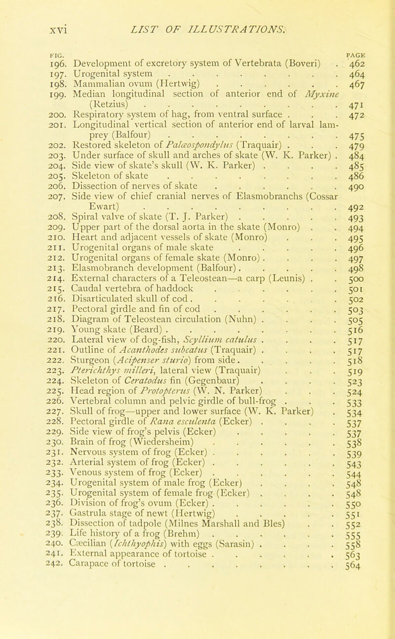FIG. 196. Development of excretory system of Vertebrata (Boveri) 197. Urogenital system ........ 198. Mammalian ovum (Hertwig) ...... 199. Median longitudinal section of anterior end of Myxine (Retzius) ......... 200. Respiratory system of hag, from ventral surface . 201. Longitudinal vertical section of anterior end of larval lam- prey (Balfour) ........ 202. Restored skeleton of Palaospondylus (Traquair) . 203. Under surface of skull and arches of skate (W. K. Parker) . 204. Side view of skate’s skull (W. K. Parker) .... 205. Skeleton of skate ........ 206. Dissection of nerves of skate ...... 207. Side view of chief cranial nerves of Elasmobranchs (Cossar Ewart) ......... 208. Spiral valve of skate (T. J. Parker) ..... 209. Upper part of the dorsal aorta in the skate (Monro) . 210. Heart and adjacent vessels of skate (Monro) 211. Urogenital organs of male skate . 212. Urogenital organs of female skate (Monro) .... 213. Elasmobranch development (Balfour). . . . . 214. External characters of a Teleostean—a carp (Leunis) . 215. Caudal vertebra of haddock ...... 216. Disarticulated skull of cod . ...... 217. Pectoral girdle and fin of cod ...... 218. Diagram of Teleostean circulation (Nuhn) . . . . 219. Young skate (Beard) ........ 220. Lateral view of dog-fish, Scyllium catulus .... 221. Outline of Acanthodcs subcatus (Traquair) . . . . 222. Sturgeon (Acipenser sturio) from side ..... 223. Pterichthys milleri, lateral view (Traquair) 224. Skeleton of Ceratodus fin (Gegenbaur) .... 225. Head region of Protopterus (W. N. Parker) 226. Vertebral column and pelvic girdle of bull-frog . 227. Skull of frog—upper and lower surface (W. K. Parker) 228. Pectoral girdle of Rana esculenta (Ecker) .... 229. Side view of frog’s pelvis (Ecker) ..... 230. Brain of frog (Wiedersheim) ...... 231. Nervous system of frog (Ecker) ...... 232. Arterial system of frog (Ecker) ...... 233. Venous system of frog (Ecker) ...... 234. Urogenital system of male frog (Ecker) .... 235. Urogenital system of female frog (Ecker) .... 236. Division of frog’s ovum (Ecker) ...... 237. Gastrula stage of newt (Hertwig) ..... 238. Dissection of tadpole (Milnes Marshall and Bles) 239. Life history of a frog (Brehm) ...... 240. Csecilian (Ichlhyophis) with eggs (Sarasin) .... 241. External appearance of tortoise ...... 242. Carapace of tortoise ........ PAGE 462 464 467 471 472 475 479 484 4S5 486 490 492 493 494 495 496 497 498 500 501 502 503 505 516 517 517 518 519 523 524 533 534 537 537 535 539 543 544 548 545 550 55' 552 555 558 563 564