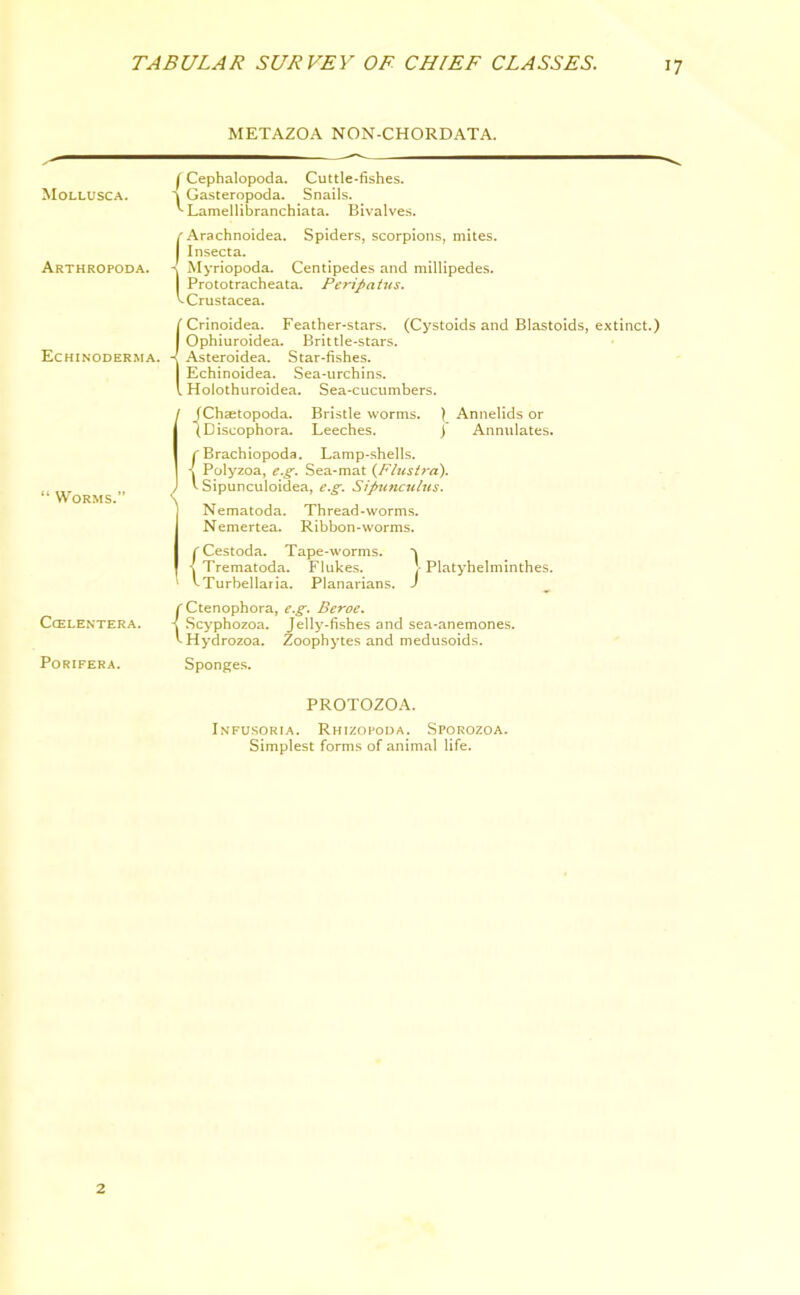 TABULAR SURVEY OF CHIEF CLASSES. Mollusca. Arthropoda. Echinoderma. “ Worms.” CcELENTERA. Porifera. METAZOA NON-CHORDATA. I Cephalopoda. Cuttle-fishes. Gasteropoda. Snails. ''Lamellibranchiata. Bivalves. Arachnoidea. Spiders, scorpions, mites. Insecta. \ Myriopoda. Centipedes and millipedes. Prototracheata. Peripatus. ^Crustacea. (Crinoidea. Feather-stars. (Cystoids and Blastoids, extinct.) Ophiuroidea. Brittle-stars. Asteroidea. Star-fishes. Echinoidea. Sea-urchins. Holothuroidea. Sea-cucumbers. I (Chaetopoda. Bristle worms. \ Annelids or (Discophora. Leeches. J Annulates. f Brachiopoda. Lamp-shells. \ Polyzoa, eg. Sea-mat (Flustra). v Sipunculoidea, eg. Sipunculus. Nematoda. Thread-worms. Nemertea. Ribbon-worms. {Cestoda. Tape-worms. ^ Trematoda. Flukes. ]-Platyhelminthes. Turbellaria. Planarians. J rCtenophora, e.g. Beroe. Scyphozoa. Jelly-fishes and sea-anemones. '-Hydrozoa. Zoophytes and medusoids. Sponges. PROTOZOA. Infusoria. Rhizopoda. Sporozoa. Simplest forms of animal life. 2