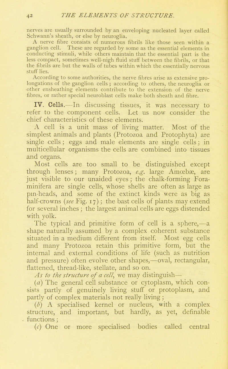 nerves are usually surrounded by an enveloping nucleated layer called Schwann’s sheath, or else by neuroglia. A nerve fibre consists of numerous fibrils like those seen within a ganglion cell. These are regarded by some as the essential elements in conducting stimuli, while others maintain that the essential part is the less compact, sometimes well-nigh fluid stuff between the fibrils, or that the fibrils are but the walls of tubes within which the essentially nervous stuff lies. According to some authorities, the nerve fibres arise as extensive pro- longations of the ganglion cells ; according to others, the neuroglia or other ensheathing elements contribute to the extension of the nerve fibres, or rather special neuroblast cells make both sheath and fibre. IV. Cells.—In discussing tissues, it was necessary to refer to the component cells. Let us now consider the chief characteristics of these elements. A cell is a unit mass of living matter. Most of the simplest animals and plants (Protozoa and Protophyta) are single cells; eggs and male elements are single cells; in multicellular organisms the cells are combined into tissues and organs. Most cells are too small to be distinguished except through lenses; many Protozoa, e.g. large Amoebae, are just visible to our unaided eyes; the chalk-forming Fora- minifera are single cells, whose shells are often as large as pm-heads, and some of the extinct kinds were as big as half-crowns (see Fig. 17); the bast cells of plants may extend for several inches; the largest animal cells are eggs distended with yolk. The typical and primitive form of cell is a sphere,—a shape naturally assumed by a complex coherent substance situated in a medium different from itself. Most egg cells and many Protozoa retain this primitive form, but the internal and external conditions of life (such as nutrition and pressure) often evolve other shapes,—oval, rectangular, flattened, thread-like, stellate, and so on. As to the structure of a cell, we may distinguish— (a) The general cell substance or cytoplasm, which con- sists partly of genuinely living stuff or protoplasm, and partly of complex materials not really living; (b) A specialised kernel or nucleus, with a complex structure, and important, but hardly, as yet, definable functions; (c) One or more specialised bodies called central