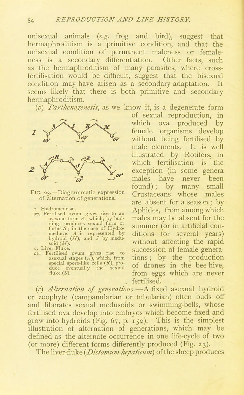 unisexual animals (e.g. frog and bird), suggest that hermaphroditism is a primitive condition, and that the unisexual condition of permanent maleness or female- ness is a secondary differentiation. Other facts, such as the hermaphroditism of many parasites, where cross- fertilisation would be difficult, suggest that the bisexual condition may have arisen as a secondary adaptation. It seems likely that there is both primitive and secondary hermaphroditism. (b) Parthenogenesis, as we know it, is a degenerate form of sexual reproduction, in which ova produced by female organisms develop without being fertilised by male elements. It is well illustrated by Rotifers, in which fertilisation is the exception (in some genera males have never been found); by many small Crustaceans whose males are absent for a season ; by Aphides, from among which males may be absent for the summer (or in artificial con- ditions for several years) without affecting the rapid succession of female genera- tions ; by the production of drones in the bee-hive, from eggs which are never fertilised. (c) Alternation of generations.—A fixed asexual hydroid or zoophyte (carnpanularian or tubularian) often buds off and liberates sexual medusoids or swimming-bells, whose fertilised ova develop into embryos which become fixed and grow into hydroids (Fig. 67, p. 150). This is the simplest illustration of alternation of generations, which may be defined as the alternate occurrence in one life-cycle of two (or more) different forms differently produced (Fig. 23). The liver-fluke (Distomum hepaticum) of the sheep produces Fig. 23.—-Diagrammatic expression of alternation of generations. 1. Hydromedusae. ov. Fertilised ovum gives rise to an asexual form A, which, by bud- ding, produces sexual form or fortns .S'; in the case of Hydro- medusae, A is represented by hydroid (//), and ^ by medu- soid (d/). 2. Liver Fluke. ov. Fertilised ovum gives rise to asexual stages (A), which, from special spore-like cells (/?), pro- duce eventually the sexual fluke (S).