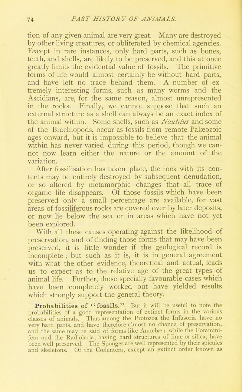 tion of any given animal are very great. Many are destroyed by other living creatures, or obliterated by chemical agencies. Except in rare instances, only hard parts, such as bones, teeth, and shells, are likely to be preserved, and this at once greatly limits the evidential value of fossils. The primitive forms of life would almost certainly be without hard parts, and have left no trace behind them. A number of ex- tremely interesting forms, such as many worms and the Ascidians, are, for the same reason, almost unrepresented in the rocks. Finally, we cannot suppose that such an external structure as a shell can always be an exact index of the animal within. Some shells, such as Nautilus and some of the Brachiopods, occur as fossils from remote Palaeozoic ages onward, but it is impossible to believe that the animal within has never varied during this period, though we can- not now learn either the nature or the amount of the variation. After fossilisation has taken place, the rock with its con- tents may be entirely destroyed by subsequent denudation, or so altered by metamorphic changes that all trace of organic life disappears. Of those fossils which have been preserved only a small percentage are available, for vast areas of fossiliferous rocks are covered over by later deposits, or now lie below the sea or in areas which have not yet been explored. With all these causes operating against the likelihood of preservation, and of finding those forms that may have been preserved, it is little wonder if the geological record is incomplete; but such as it is, it is in general agreement with what the other evidence, theoretical and actual, leads us to expect as to the relative age of the great types of animal life. Further, those specially favourable cases which have been completely worked out have yielded results which strongly support the general theory. Probabilities of “fossils.”—But it will be useful to note the probabilities of a good representation of extinct forms in the various classes of animals. Thus among the Protozoa the Infusoria have no very hard parts, and have therefore almost no chance, of preservation, and the same may be said of forms like Amoebae ; while the Foramini- fera and the Radiolaria, having hard structures of lime or silica, have been well preserved. The Sponges are well represented by their spicules and skeletons. Of the Coelentera, except an extinct order known as
