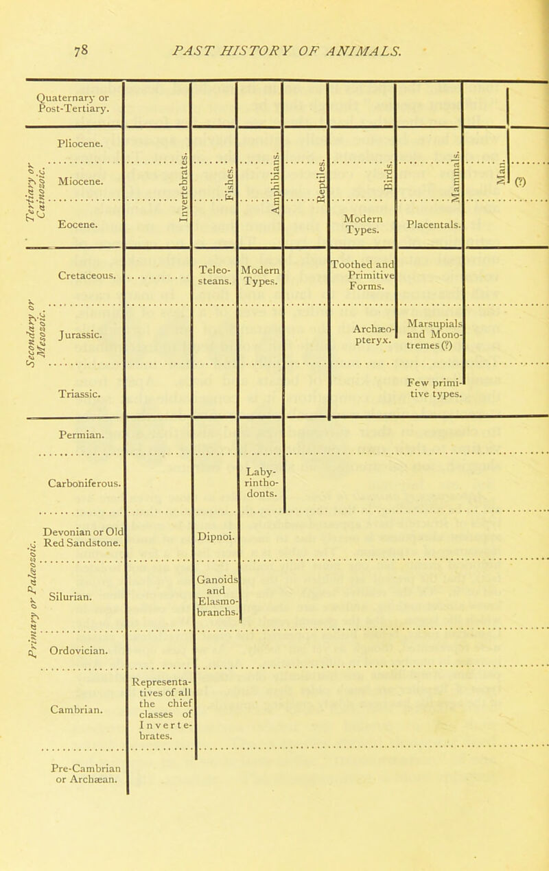 Primary or Palaozoic. I Secondary or j ' Tertiary or Quaternary or Post-Tertiary. Pliocene. | Miocene. 8 j Eocene. Permian. Carboniferous. Devonian or Old Red Sandstone. Silurian. Ordovician. Cambrian. Representa- tives of all the chief classes of Inverte- brates. Teleo- steans. Dipnoi. Ganoids and Elasmo- branchs. Modern Types. Laby- rintho- donts. in Modern Types. Placentals. Toothed and Forms. Archaeo- pteryx. Marsupials tr ernes (?) Few primi- Pre-Cambrian or Archaean.