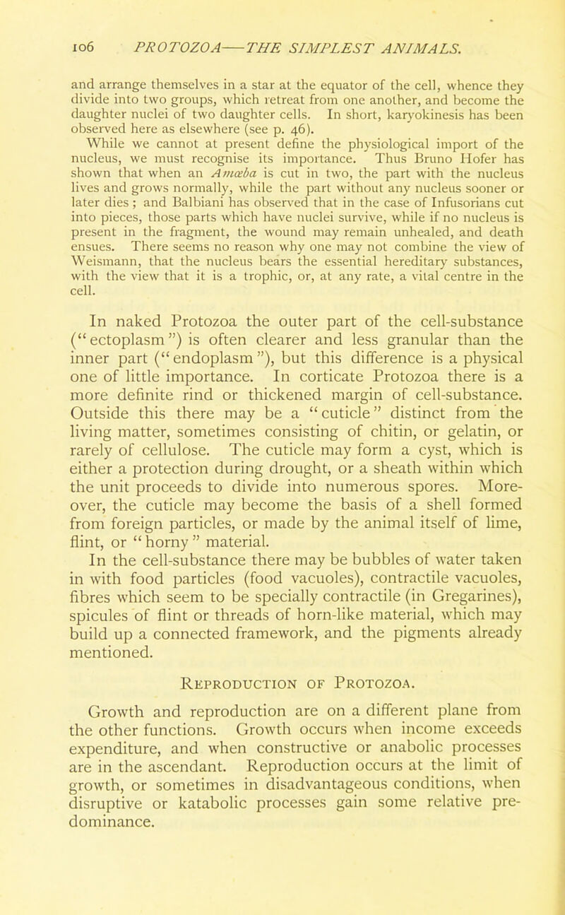 and arrange themselves in a star at the equator of the cell, whence they divide into two groups, which retreat from one another, and become the daughter nuclei of two daughter cells. In short, karyokinesis has been observed here as elsewhere (see p. 46). While we cannot at present define the physiological import of the nucleus, we must recognise its importance. Thus Bruno Hofer has shown that when an Amceba is cut in two, the part with the nucleus lives and grows normally, while the part without any nucleus sooner or later dies ; and Balbiani has observed that in the case of Infusorians cut into pieces, those parts which have nuclei survive, while if no nucleus is present in the fragment, the wound may remain unhealed, and death ensues. There seems no reason why one may not combine the view of Weismann, that the nucleus bears the essential hereditary substances, with the view that it is a trophic, or, at any rate, a vital centre in the cell. In naked Protozoa the outer part of the cell-substance (“ectoplasm”) is often clearer and less granular than the inner part (“endoplasm”), but this difference is a physical one of little importance. In corticate Protozoa there is a more definite rind or thickened margin of cell-substance. Outside this there may be a “ cuticle ” distinct from the living matter, sometimes consisting of chitin, or gelatin, or rarely of cellulose. The cuticle may form a cyst, which is either a protection during drought, or a sheath within which the unit proceeds to divide into numerous spores. More- over, the cuticle may become the basis of a shell formed from foreign particles, or made by the animal itself of lime, flint, or “ horny ” material. In the cell-substance there may be bubbles of water taken in with food particles (food vacuoles), contractile vacuoles, fibres which seem to be specially contractile (in Gregarines), spicules of flint or threads of horn-like material, which may build up a connected framework, and the pigments already mentioned. Reproduction of Protozoa. Growth and reproduction are on a different plane from the other functions. Growth occurs when income exceeds expenditure, and when constructive or anabolic processes are in the ascendant. Reproduction occurs at the limit of growth, or sometimes in disadvantageous conditions, when disruptive or katabolic processes gain some relative pre- dominance.