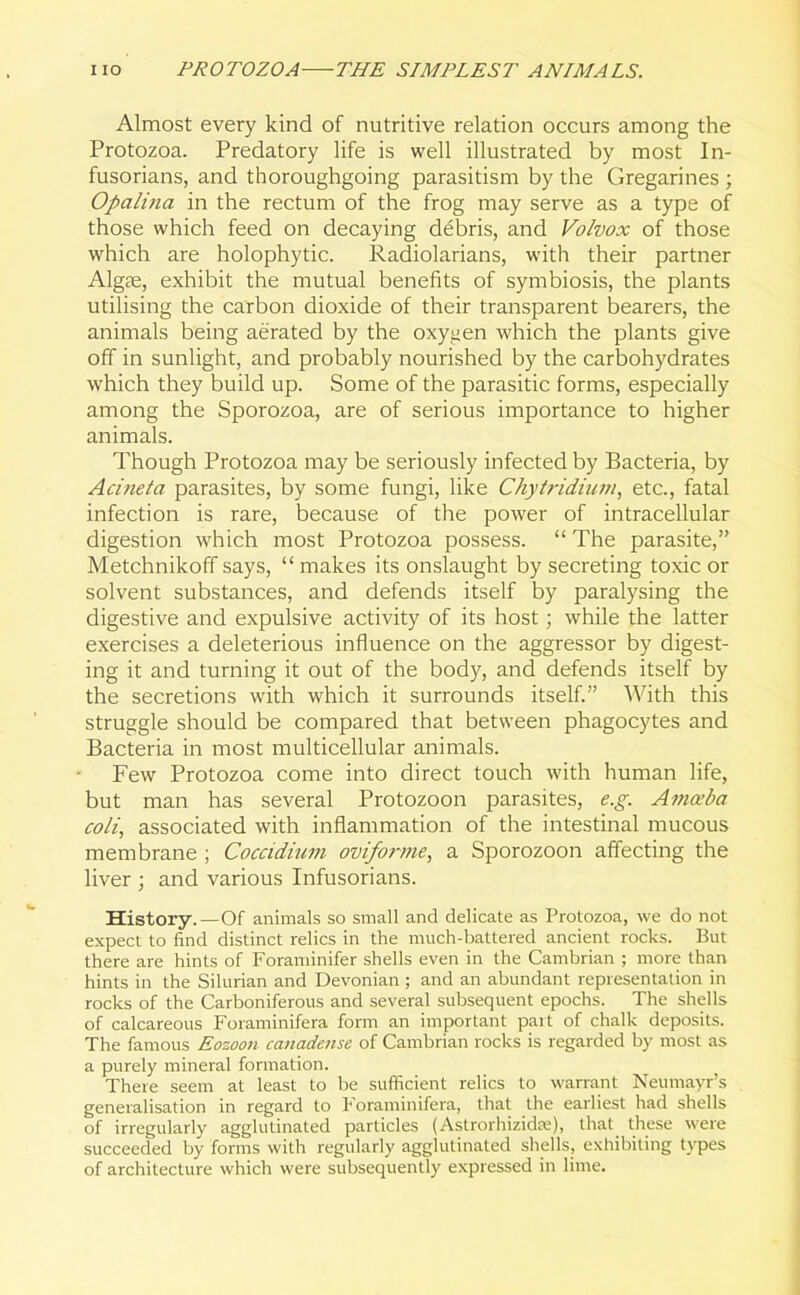 Almost every kind of nutritive relation occurs among the Protozoa. Predatory life is well illustrated by most In- fusorians, and thoroughgoing parasitism by the Gregarines ; Opalina in the rectum of the frog may serve as a type of those which feed on decaying debris, and Volvox of those which are holophytic. Radiolarians, with their partner Algse, exhibit the mutual benefits of symbiosis, the plants utilising the carbon dioxide of their transparent bearers, the animals being aerated by the oxygen which the plants give off in sunlight, and probably nourished by the carbohydrates which they build up. Some of the parasitic forms, especially among the Sporozoa, are of serious importance to higher animals. Though Protozoa may be seriously infected by Bacteria, by Acmeta parasites, by some fungi, like Chytridium, etc., fatal infection is rare, because of the power of intracellular digestion which most Protozoa possess. “ The parasite,” Metchnikoff says, “ makes its onslaught by secreting toxic or solvent substances, and defends itself by paralysing the digestive and expulsive activity of its host; while the latter exercises a deleterious influence on the aggressor by digest- ing it and turning it out of the body, and defends itself by the secretions with which it surrounds itself.” With this struggle should be compared that between phagocytes and Bacteria in most multicellular animals. Few Protozoa come into direct touch with human life, but man has several Protozoon parasites, e.g. Amoeba co/i, associated with inflammation of the intestinal mucous membrane ; Coccidium oviforme, a Sporozoon affecting the liver ; and various Infusorians. History.—Of animals so small and delicate as Protozoa, we do not expect to find distinct relics in the much-battered ancient rocks. But there are hints of Foraminifer shells even in the Cambrian ; more than hints in the Silurian and Devonian ; and an abundant representation in rocks of the Carboniferous and several subsequent epochs. The shells of calcareous Foraminifera form an important pait of chalk deposits. The famous Eozoon canadense of Cambrian rocks is regarded by most as a purely mineral formation. There seem at least to be sufficient relics to warrant Neumayr’s generalisation in regard to Foraminifera, that the earliest had shells of irregularly agglutinated particles (Astrorhizidm), that these were succeeded by forms with regularly agglutinated shells, exhibiting types of architecture which were subsequently expressed in lime.
