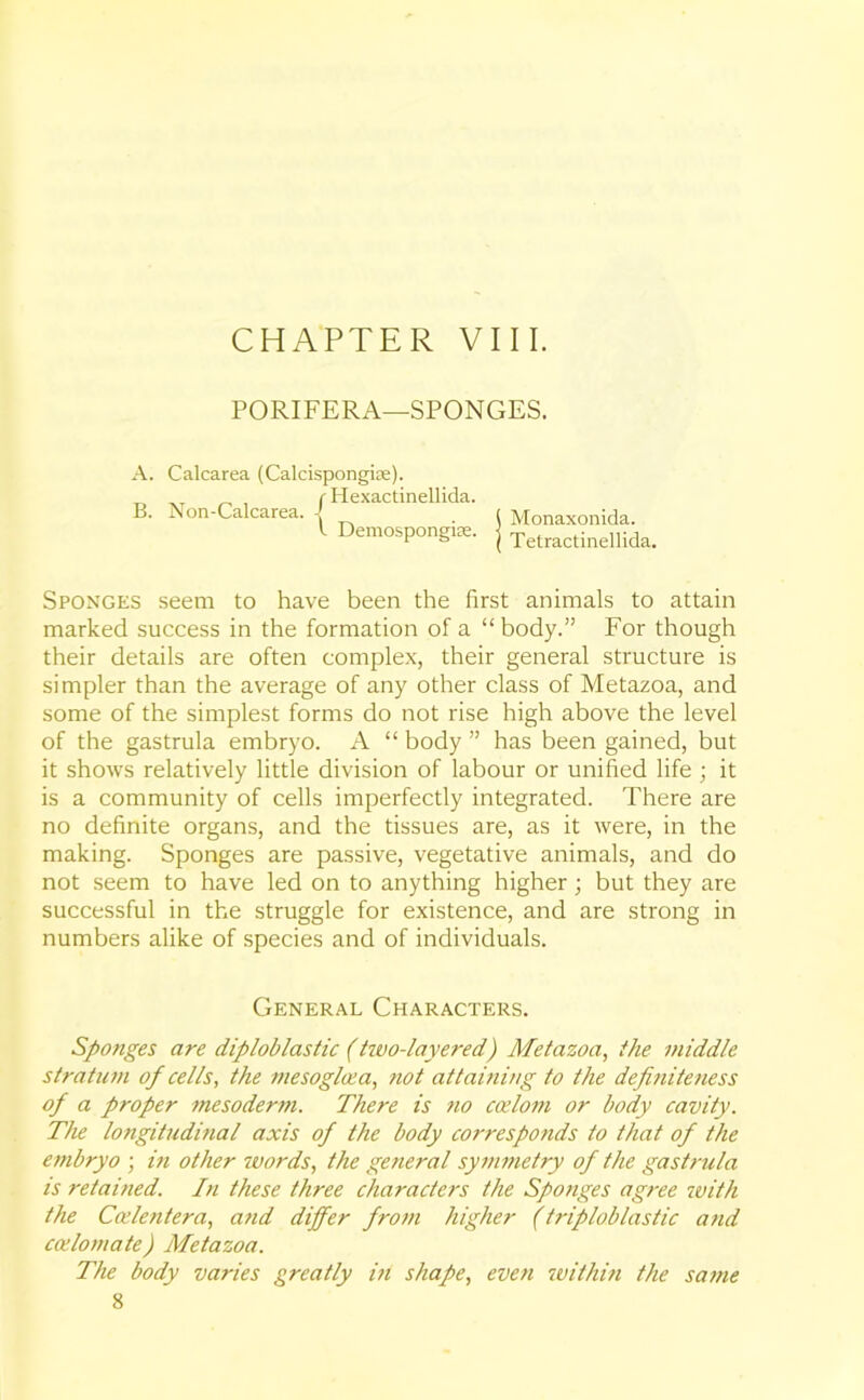 CHAPTER VIII. PORIFERA—SPONGES. A. B. Calcarea (Calcispongise). r Hexactinellida. Non-Calcarea. -[ l Demospongke. ( Monaxonida. ( Tetractinellida. Sponges seem to have been the first animals to attain marked success in the formation of a “body.” For though their details are often complex, their general structure is simpler than the average of any other class of Metazoa, and some of the simplest forms do not rise high above the level of the gastrula embryo. A “ body ” has been gained, but it shows relatively little division of labour or unified life ; it is a community of cells imperfectly integrated. There are no definite organs, and the tissues are, as it were, in the making. Sponges are passive, vegetative animals, and do not seem to have led on to anything higher; but they are successful in the struggle for existence, and are strong in numbers alike of species and of individuals. General Characters. Sponges are diploblastic (tzvo-layered) Metazoa, the middle stratum of cells, the mesoglcea, not at taming to the definiteness of a proper mesoderm. There is no coelom or body cavity. The longitudmal axis of the body corresponds to that of the embryo ; in other zvords, the general symmetry of the gastrula is retained. In these three characters the Sponges agree with the Cedent era, a?id differ from higher (triploblastic and ccdomate) Metazoa. The body varies greatly in shape, even within the same 8