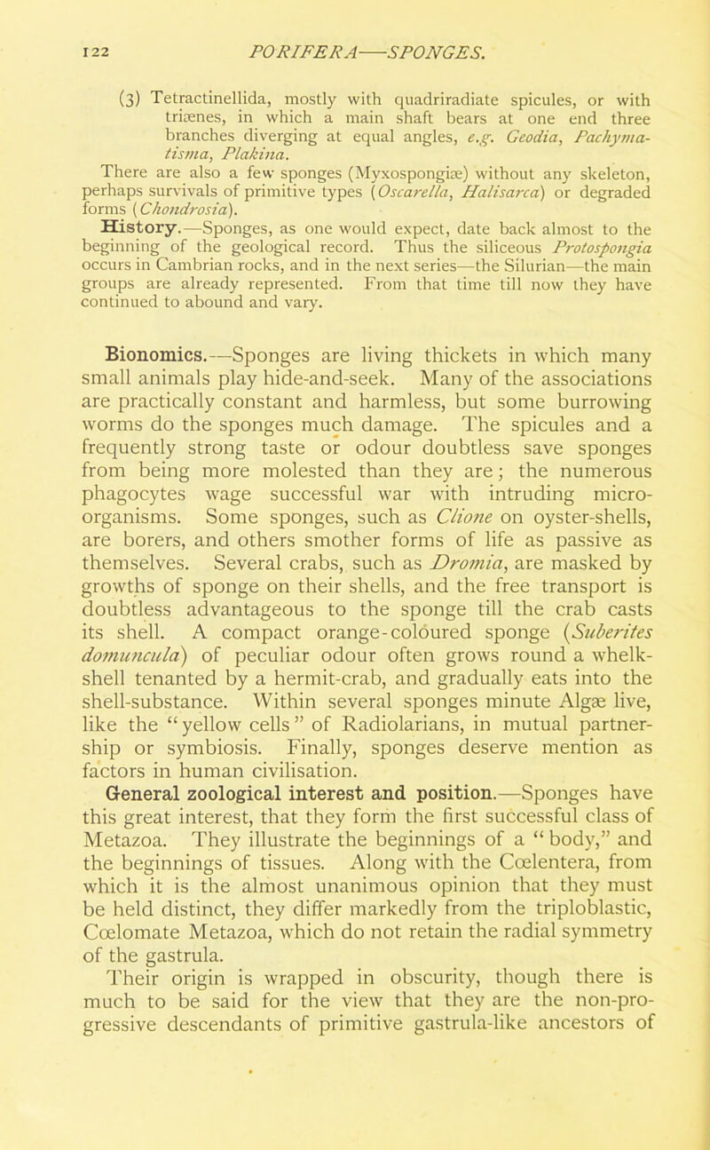 (3) Tetractinellida, mostly with quadriradiate spicules, or with triaenes, in which a main shaft bears at one end three branches diverging at equal angles, e.g. Geodia, Pachyrna- tisma, Plakina. There are also a few sponges (Myxospongiae) without any skeleton, perhaps survivals of primitive types (Oscarella, Halisarca) or degraded forms (Chondrosia). History.—Sponges, as one would expect, date back almost to the beginning of the geological record. Thus the siliceous Protospongia occurs in Cambrian rocks, and in the next series—the Silurian—the main groups are already represented. From that time till now they have continued to abound and vary. Bionomics.—Sponges are living thickets in which many small animals play hide-and-seek. Many of the associations are practically constant and harmless, but some burrowing worms do the sponges much damage. The spicules and a frequently strong taste or odour doubtless save sponges from being more molested than they are; the numerous phagocytes wage successful war with intruding micro- organisms. Some sponges, such as Clione on oyster-shells, are borers, and others smother forms of life as passive as themselves. Several crabs, such as Dromici, are masked by growths of sponge on their shells, and the free transport is doubtless advantageous to the sponge till the crab casts its shell. A compact orange-coloured sponge (Suberites domuncula) of peculiar odour often grows round a whelk- shell tenanted by a hermit-crab, and gradually eats into the shell-substance. Within several sponges minute Algae live, like the “ yellow cells ” of Radiolarians, in mutual partner- ship or symbiosis. Finally, sponges deserve mention as factors in human civilisation. General zoological interest and position.—Sponges have this great interest, that they form the first successful class of Metazoa. They illustrate the beginnings of a “ body,” and the beginnings of tissues. Along with the Coelentera, from which it is the almost unanimous opinion that they must be held distinct, they differ markedly from the triploblastic, Ccelomate Metazoa, which do not retain the radial symmetry of the gastrula. Their origin is wrapped in obscurity, though there is much to be said for the view that they are the non-pro- gressive descendants of primitive gastrula-like ancestors of
