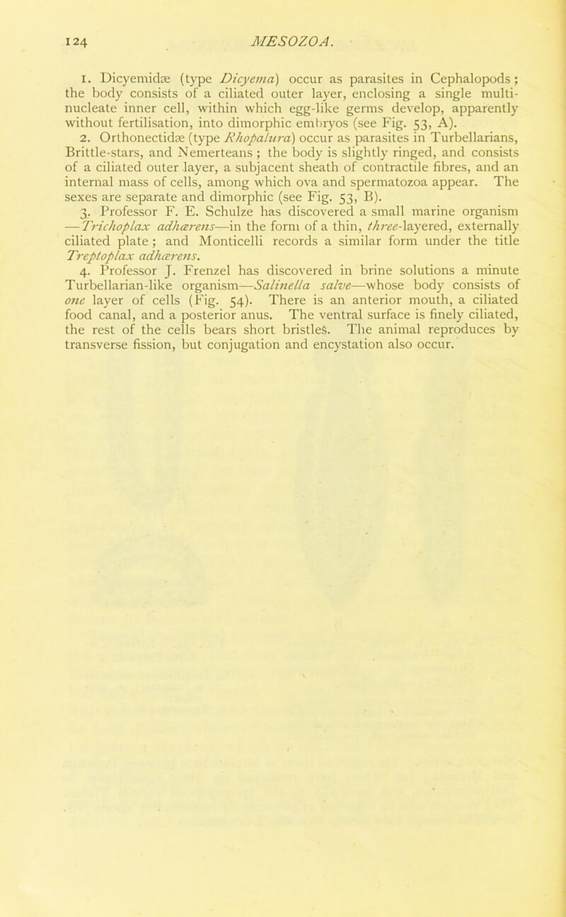 1. Dicyemidte (type Dicyema) occur as parasites in Cephalopods ; the body consists of a ciliated outer layer, enclosing a single multi- nucleate inner cell, within which egg-like germs develop, apparently without fertilisation, into dimorphic embryos (see Fig. 53, A). 2. Orthonectkke (type RhopaLura) occur as parasites in Turbellarians, Brittle-stars, and Nemerteans; the body is slightly ringed, and consists of a ciliated outer layer, a subjacent sheath of contractile fibres, and an internal mass of cells, among which ova and spermatozoa appear. The sexes are separate and dimorphic (see Fig. 53, B). 3. Professor F. E. Schulze has discovered a small marine organism -—Triclioplax adhcerens—in the form of a thin, three-layered, externally ciliated plate ; and Monticelli records a similar form under the title Treptoplax adhcerens. 4. Professor J. Frenzel has discovered in brine solutions a minute Turbellarian-like organism—Salinella salve—whose body consists of one layer of cells (Fig. 54). There is an anterior mouth, a ciliated food canal, and a posterior anus. The ventral surface is finely ciliated, the rest of the cells bears short bristles. The animal reproduces by transverse fission, but conjugation and encystation also occur.