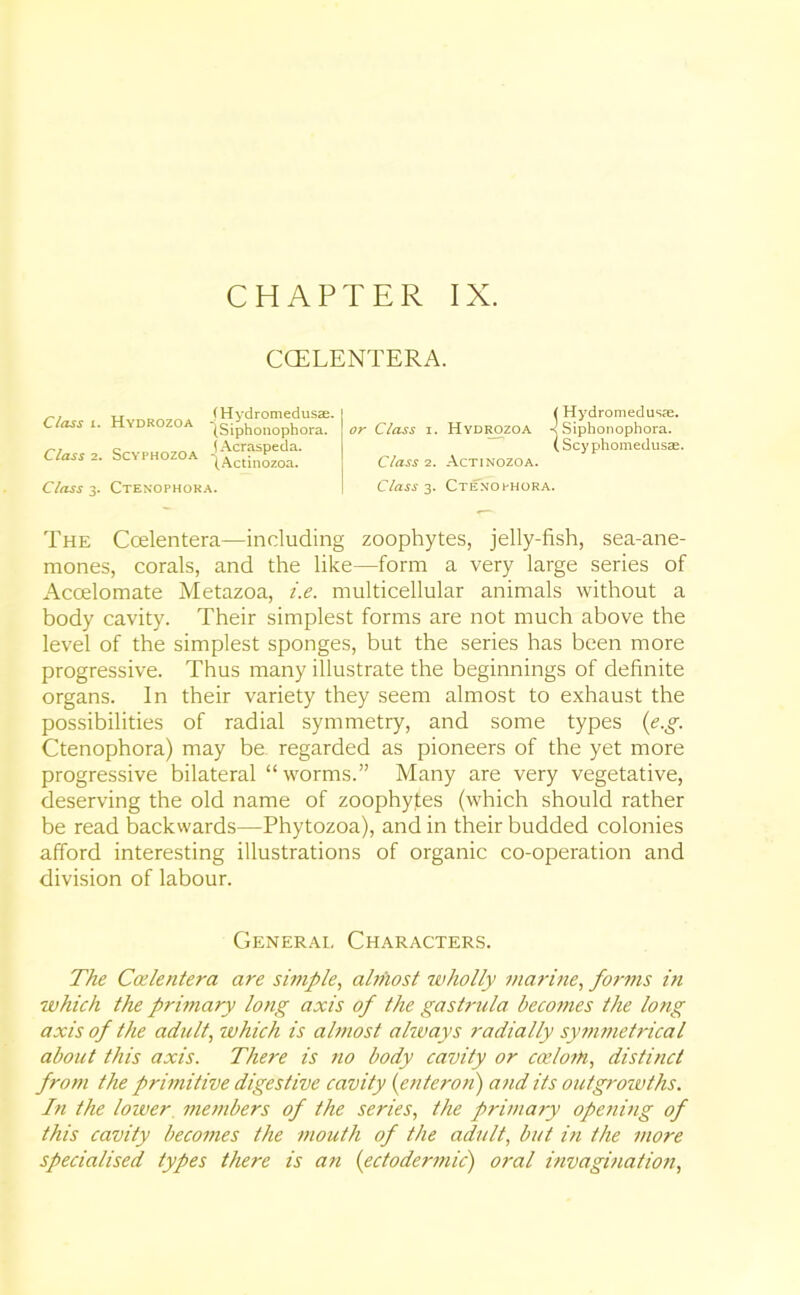 CGELENTERA. Class i. Hydrozoa Class 2. Scyphozoa (Hydromedusae. {Siphonophora. \ Acraspeda. (Actinozoa. (Hydro medusae. or Class i. Hydrozoa •< Siphonophora. ( Scy phomedusae. Class 2. Actinozoa. Class 3. Ctenophora. Class 3. Ctenophora. The Ccelentera—including zoophytes, jelly-fish, sea-ane- mones, corals, and the like—form a very large series of Acoelomate Metazoa, i.e. multicellular animals without a body cavity. Their simplest forms are not much above the level of the simplest sponges, but the series has been more progressive. Thus many illustrate the beginnings of definite organs. In their variety they seem almost to exhaust the possibilities of radial symmetry, and some types (e.g. Ctenophora) may be regarded as pioneers of the yet more progressive bilateral “worms.” Many are very vegetative, deserving the old name of zoophytes (which should rather be read backwards—Phytozoa), and in their budded colonies afford interesting illustrations of organic co-operation and division of labour. General Characters. The Ccelentera are simple, almost wholly marine, fo?'ins in which the primary long axis of the gastrula becomes the long axis of the adult, which is almost ahvays radially symmetrical about this axis. There is no body cavity or cceloih, distinct from the primitive digestive cavity (enteron) and its outgrowths. In the lower members of the series, the primary openvig of this cavity becomes the mouth of the adult, but in the more specialised types there is an (ectodermic) oral invagination,